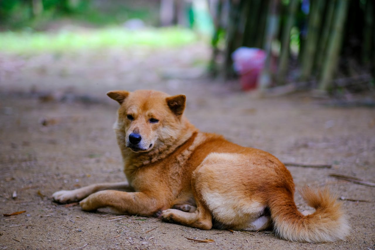 Bán phòng hiệu quả cho khách sạn độc lập