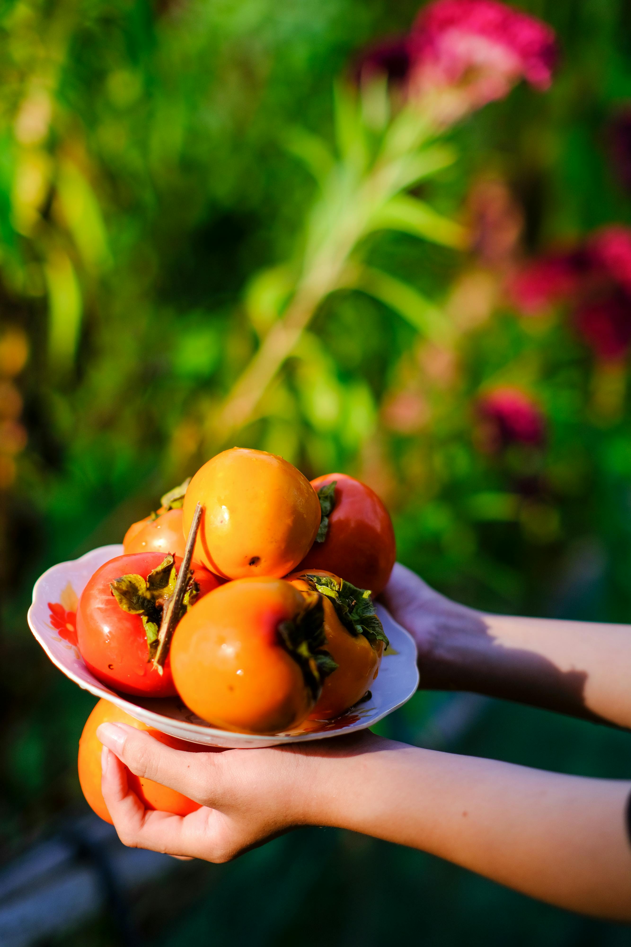 Trung tâm nghiên cứu văn học, phát triển nhà văn Việt Nam