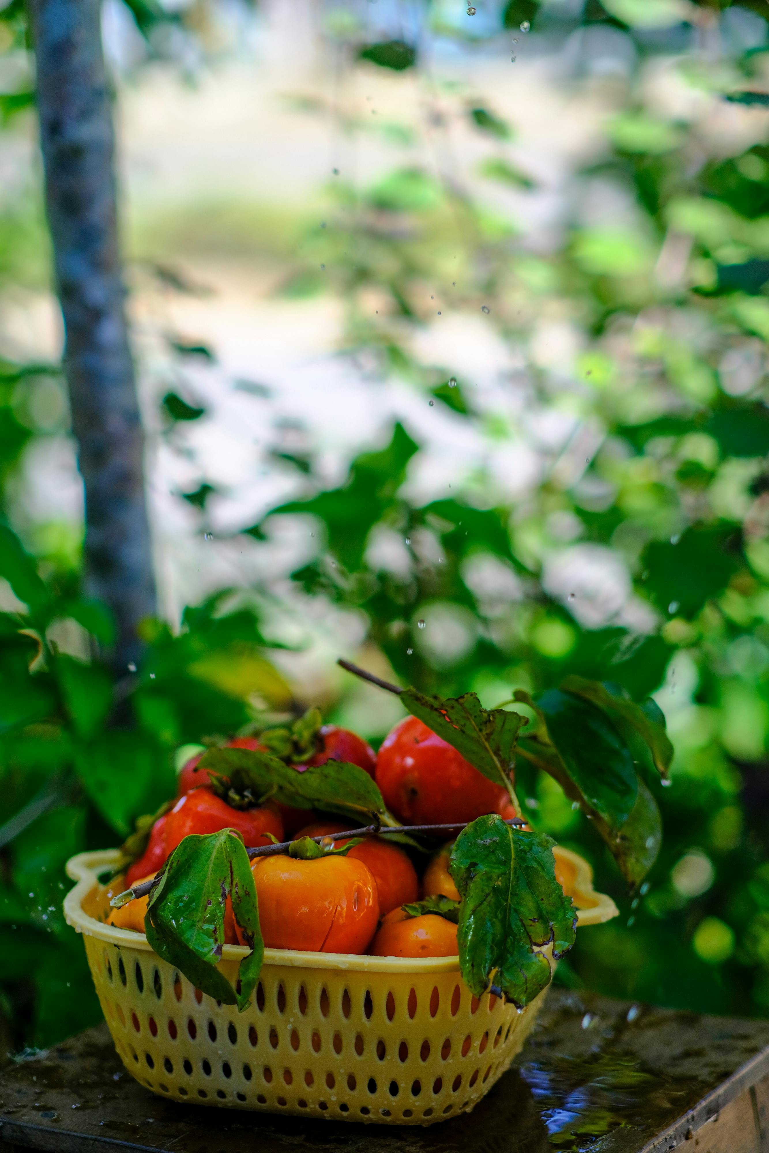 Vũ trụ lượng tử cứu khủng hoảng vật lý Vũ trụ lượng tử cứu khủng hoảng vật lý 731 – vat ly hoc, triet hoc, co hoc luong tu, vu tru hoc, the one, heinrich päs, khung hoang vat ly.