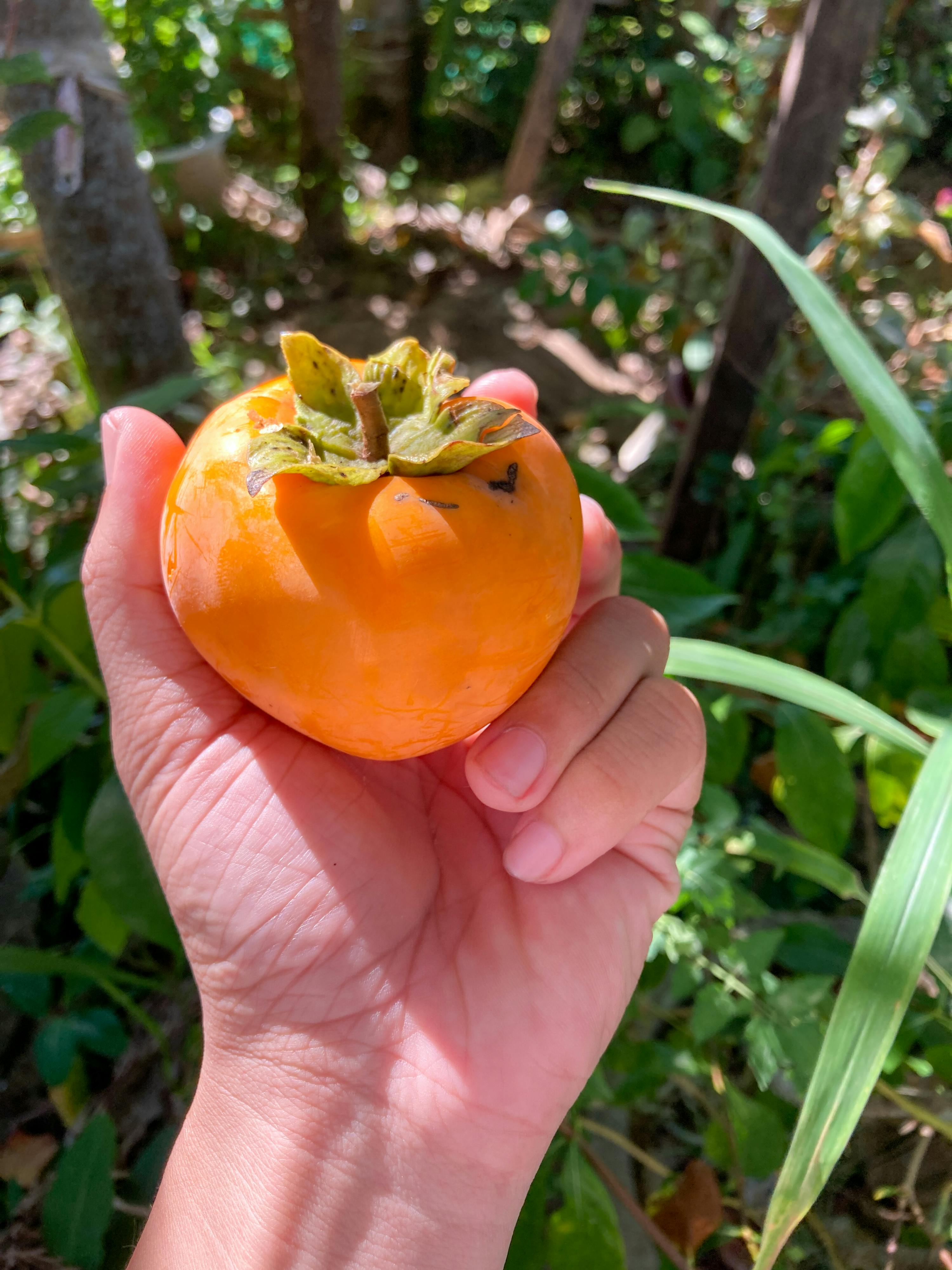 Thám tử lừng danh Conan | Chương 0082 302 – manga, gosho aoyama, case closed, tham tu lung danh conan, conan, detective conan, truyen tranh, trinh tham, pha an, trinh tham, kinh di, truyen conan, doc truyen conan, tham tu lung danh conan chuong 0082, tham tu lung danh conan 0082.