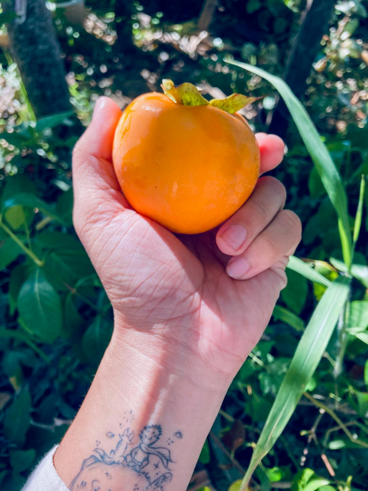 Biến ngày lãng phí thành ngày thành công