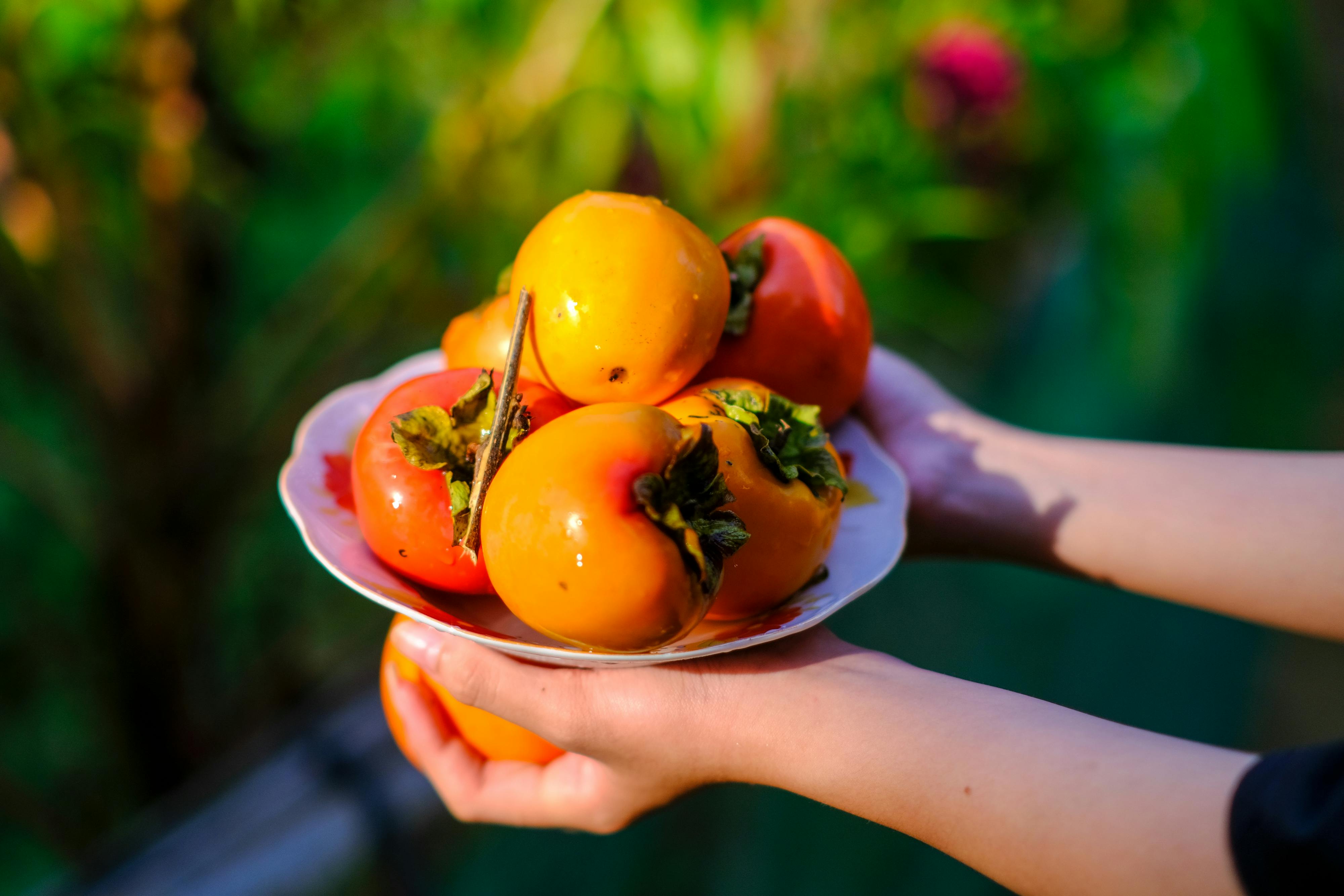 Trung tâm nghiên cứu văn học, phát triển nhà văn Việt Nam