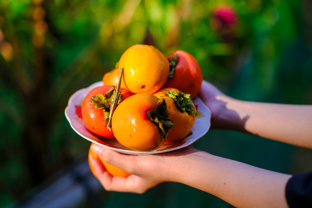 Bạch Đằng giang phú (白藤江賦)