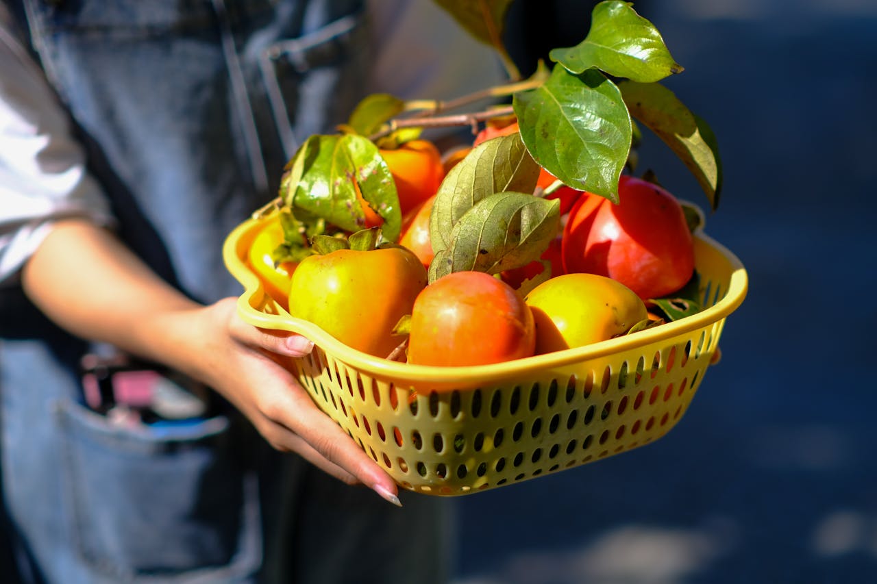 Thám tử lừng danh Conan | Chương 0447