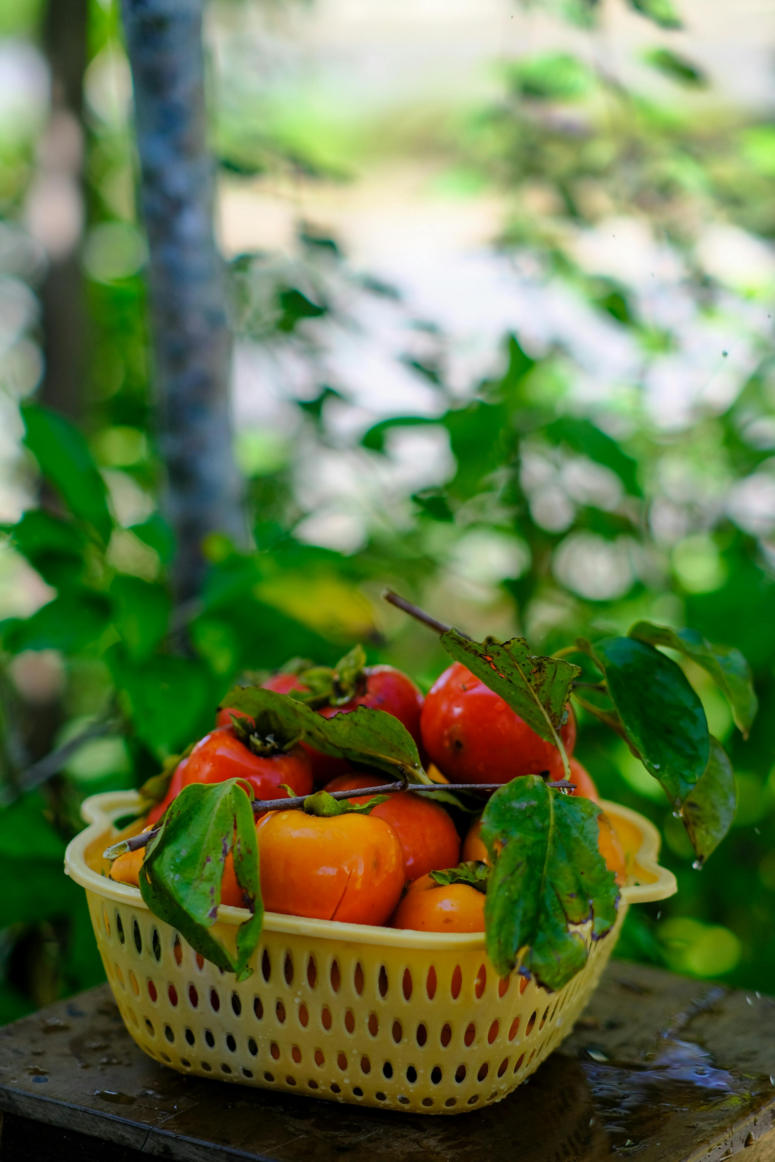 Trung tâm nghiên cứu văn học, phát triển nhà văn Việt Nam