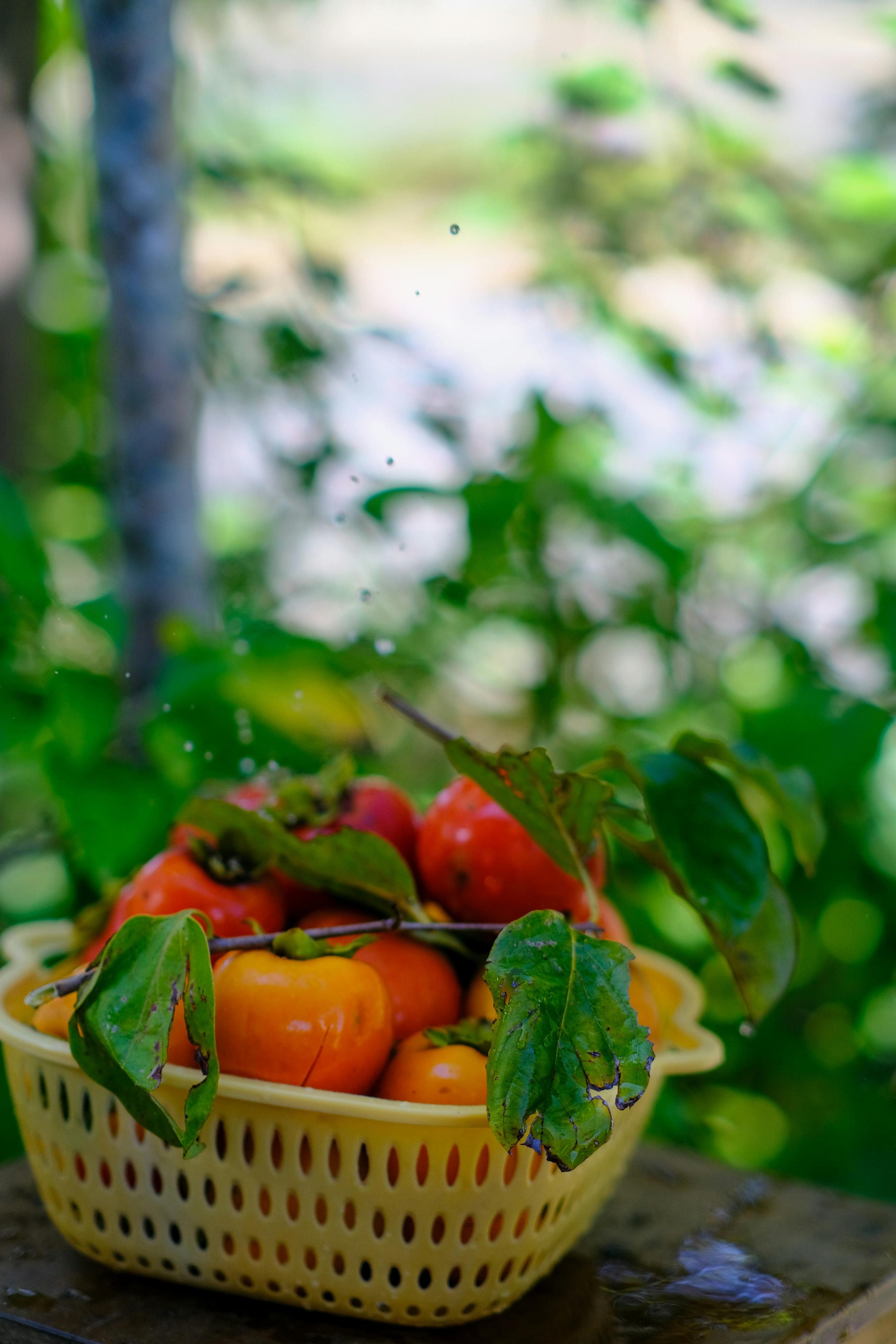 Thám tử lừng danh Conan | Chương 0616 662 – manga, gosho aoyama, case closed, tham tu lung danh conan, conan, detective conan, truyen tranh, trinh tham, pha an, trinh tham, kinh di, truyen conan, doc truyen conan, tham tu lung danh conan chuong 0606, tham tu lung danh conan 0606, tham tu lung danh conan 0616.