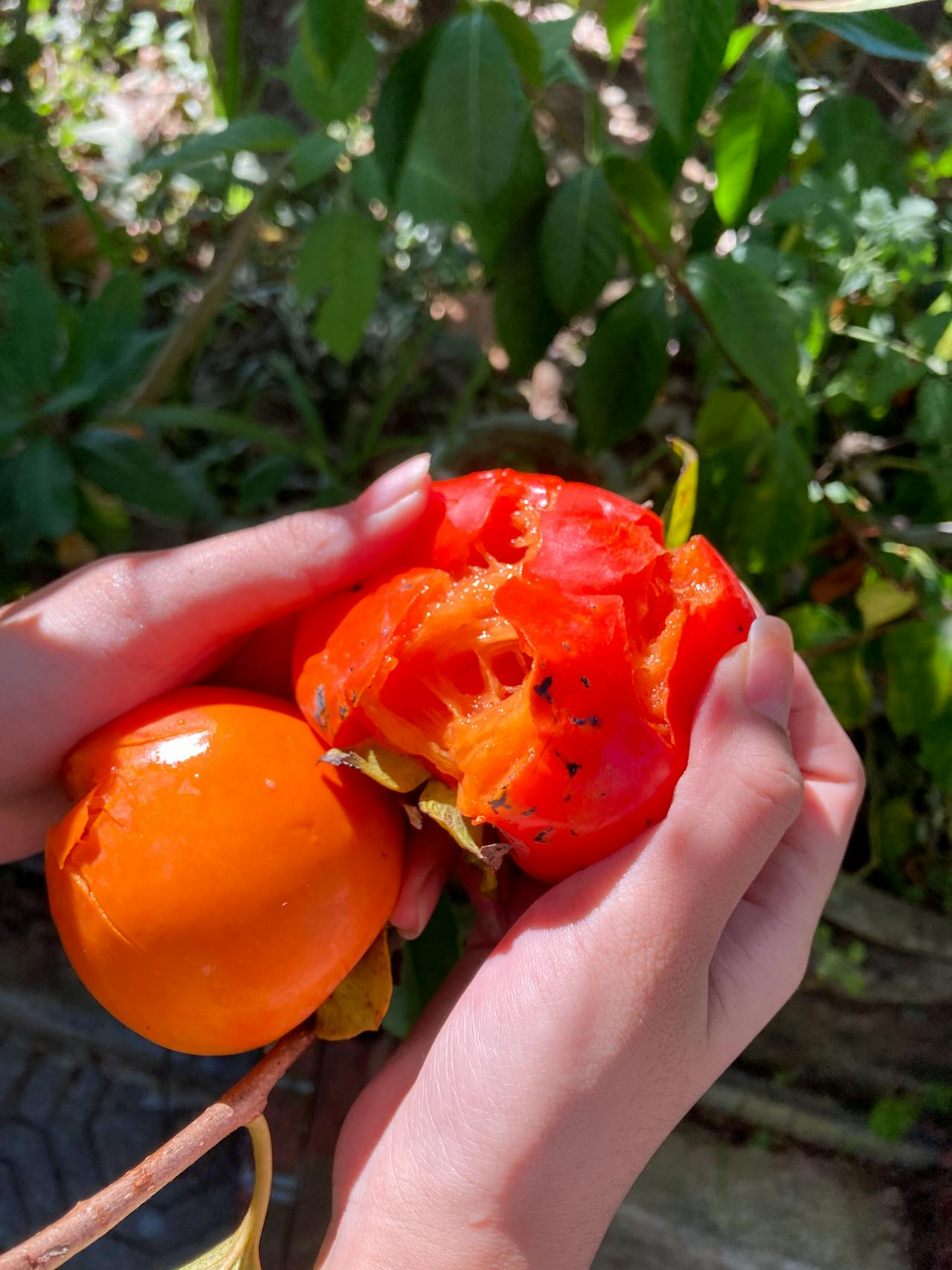 Thám tử lừng danh Conan | Chương 0082