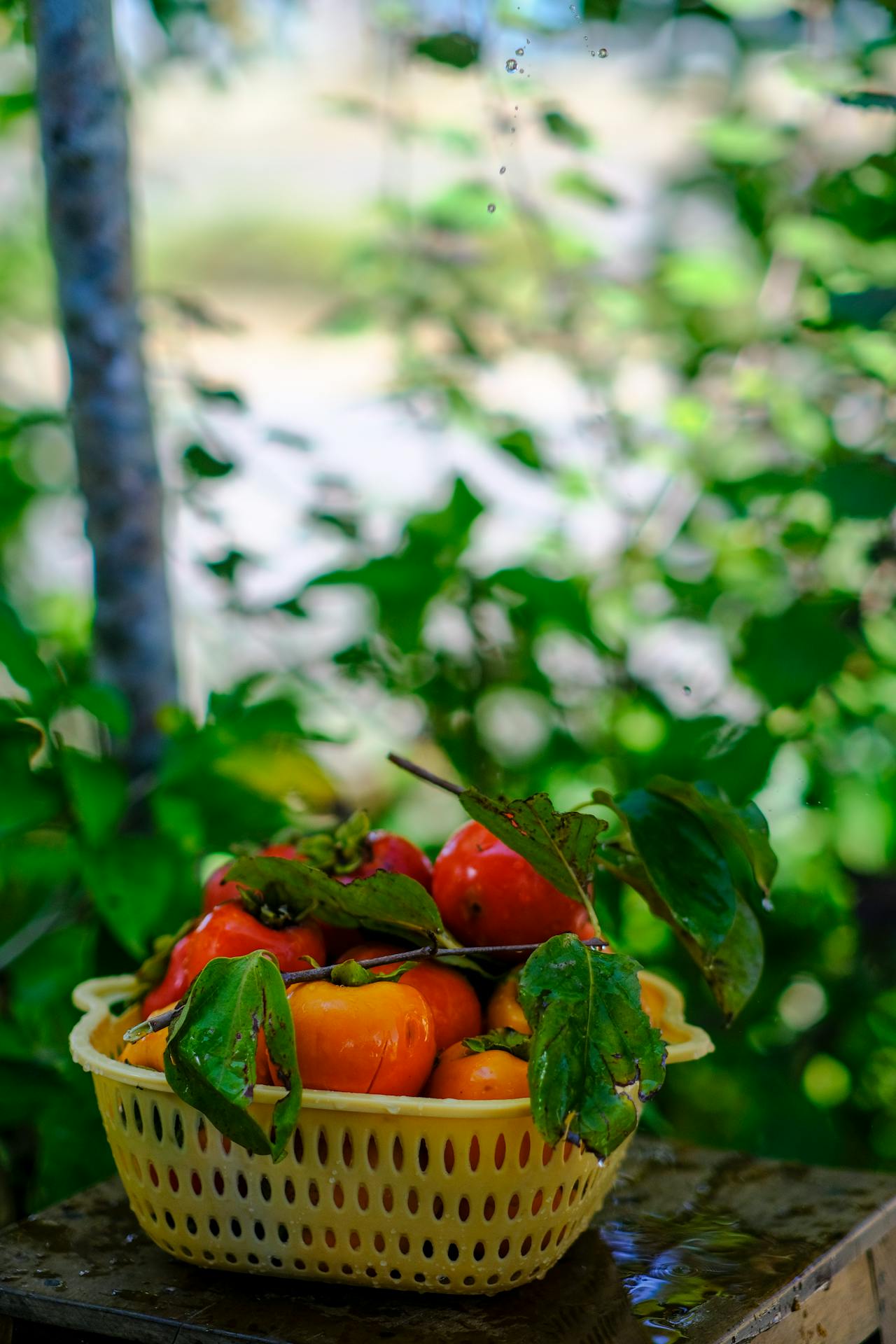 Đường xưa mây trắng | Chương 66