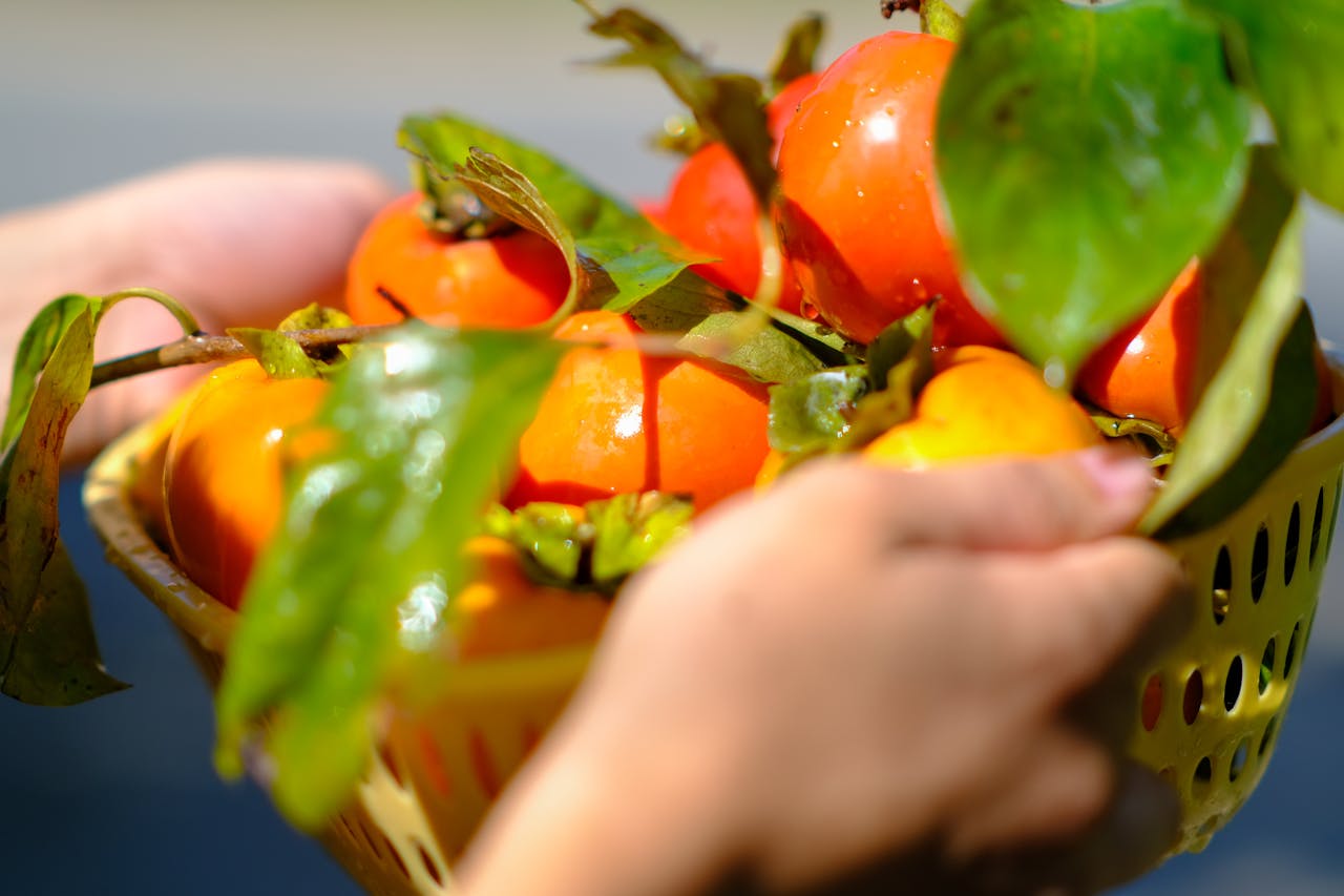 Đường xưa mây trắng | Chương 20