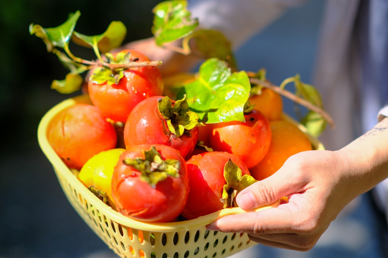 Giếng thở than | Chương 30