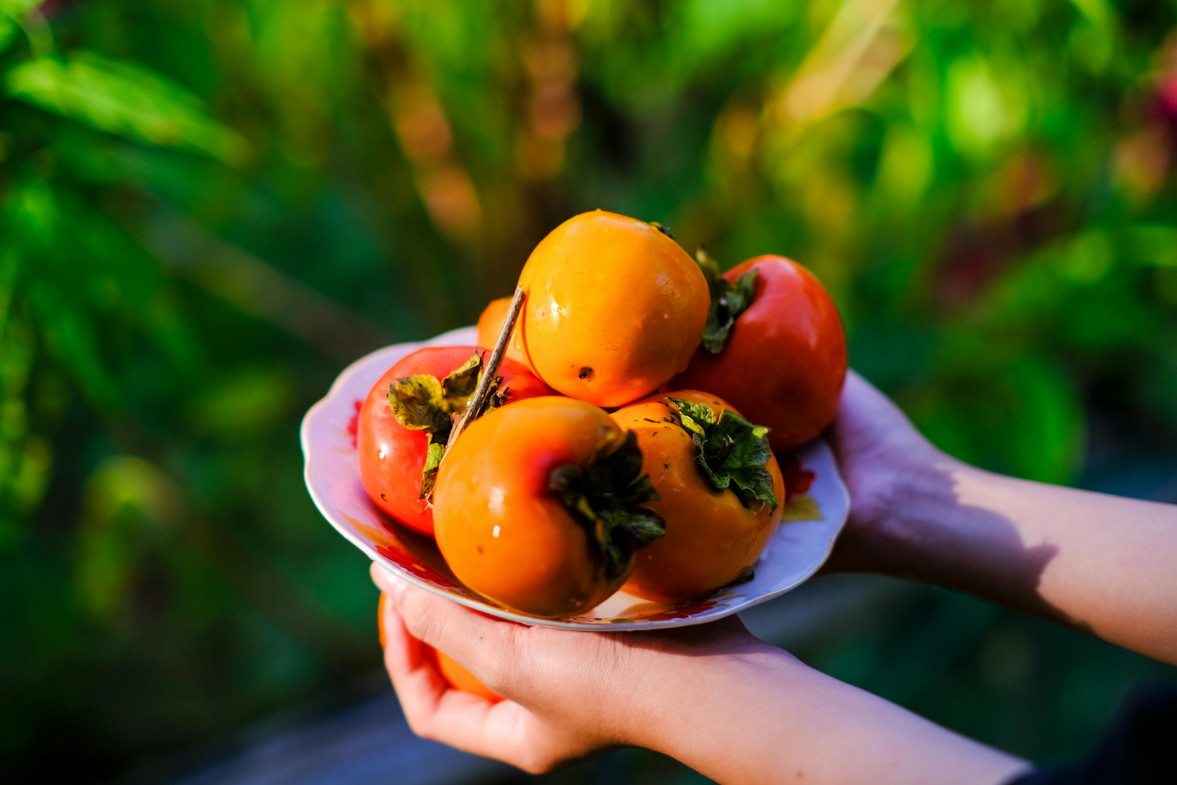 Vi nhựa có thực sự hủy hoại sức khỏe của chúng ta? Vi nhựa có thực sự hủy hoại sức khỏe của chúng ta? 012 – khoa hoc, moi truong, suc khoe, sinh hoc, moi truong, vi nhua, rac thai nhua, vi nhua anh huong.