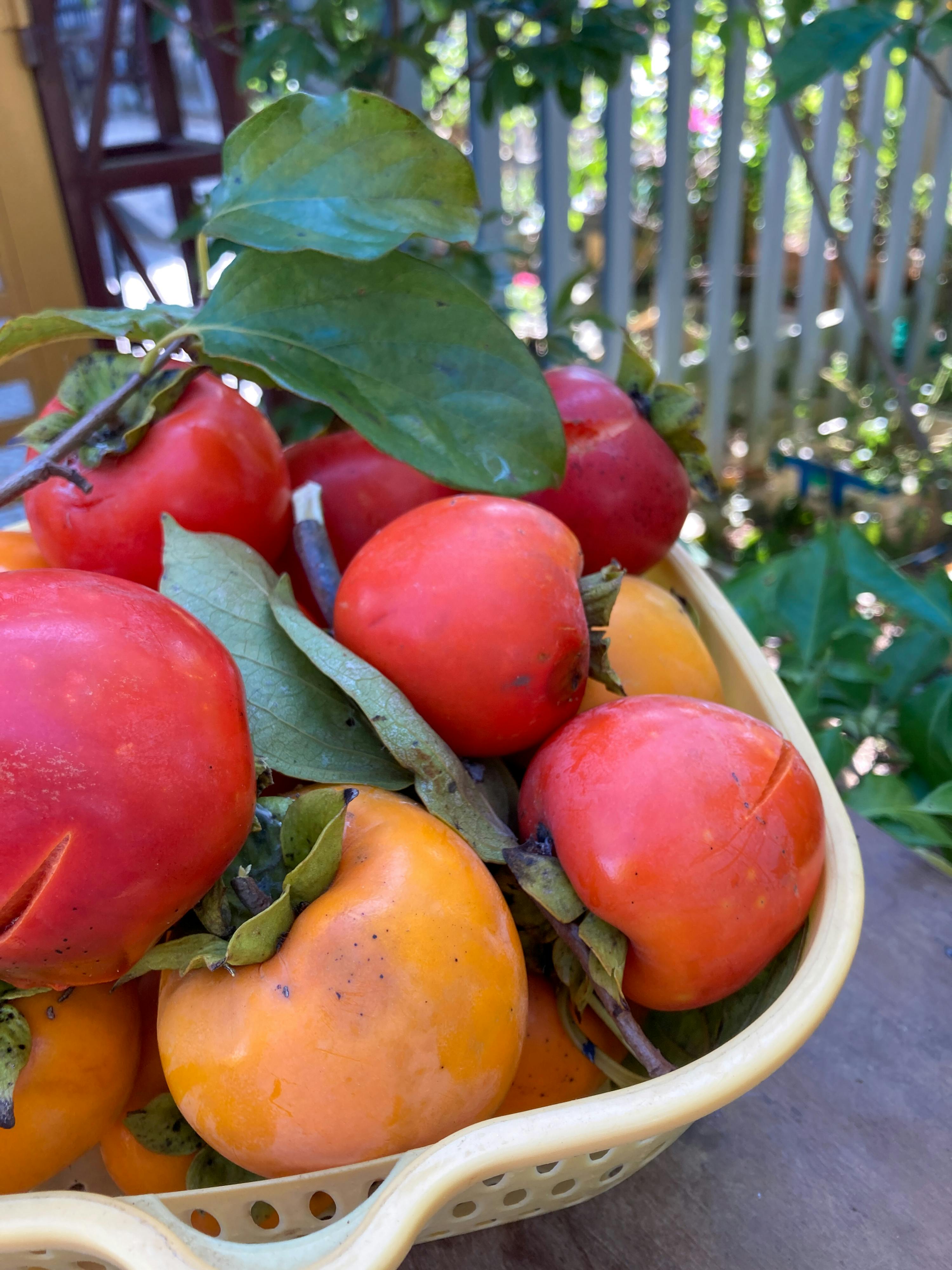 Danh sách theo thẻ nhan-hoc, trang 3