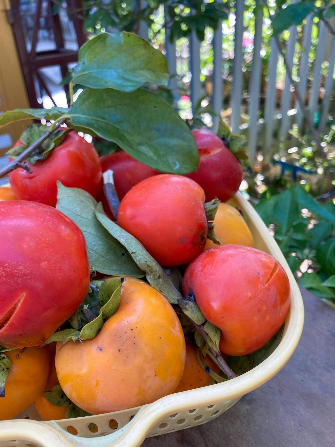 Thần điêu hiệp lữ | Chương 31