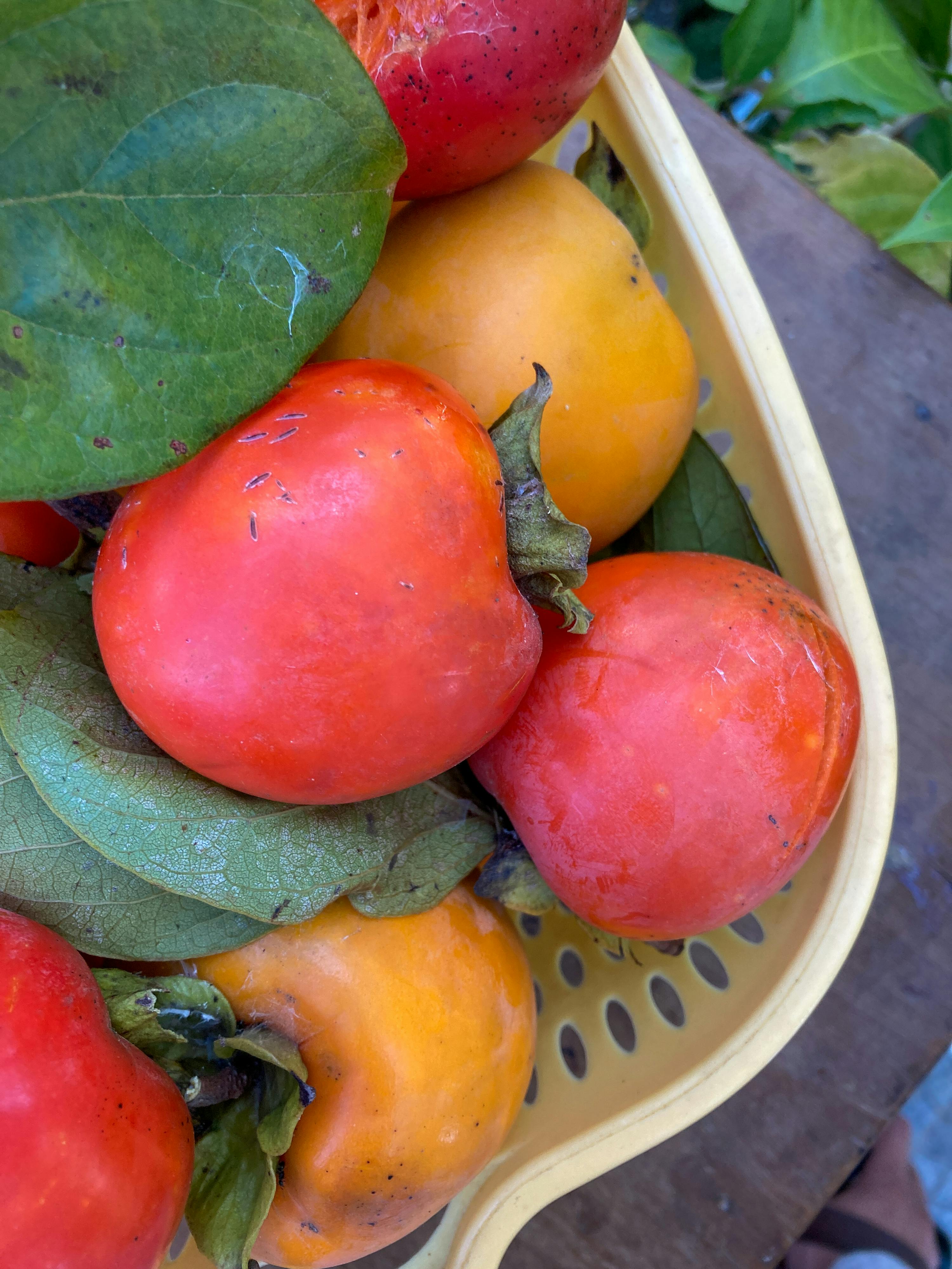 Trung tâm nghiên cứu văn học, phát triển nhà văn Việt Nam