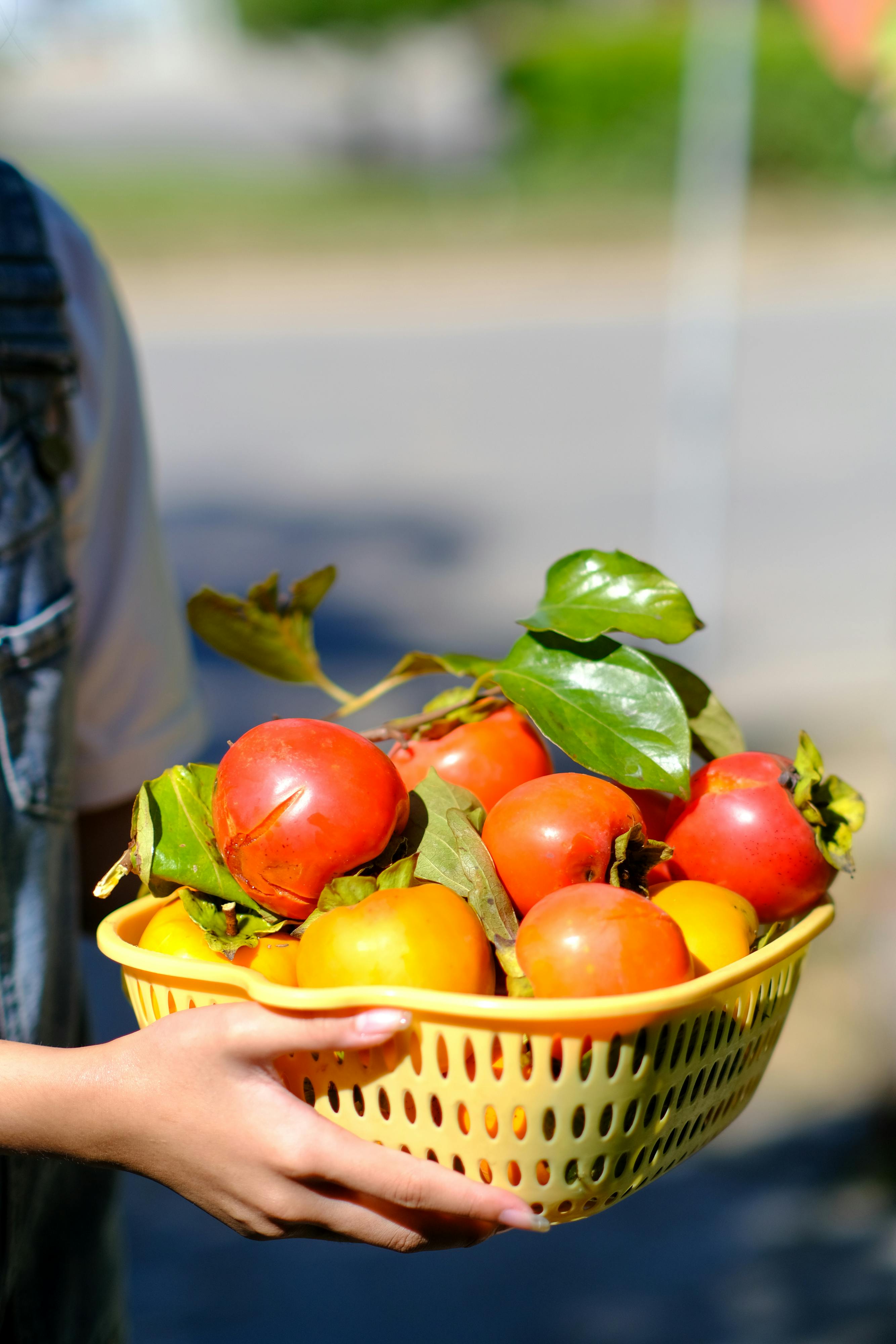 Trung tâm nghiên cứu văn học, phát triển nhà văn Việt Nam