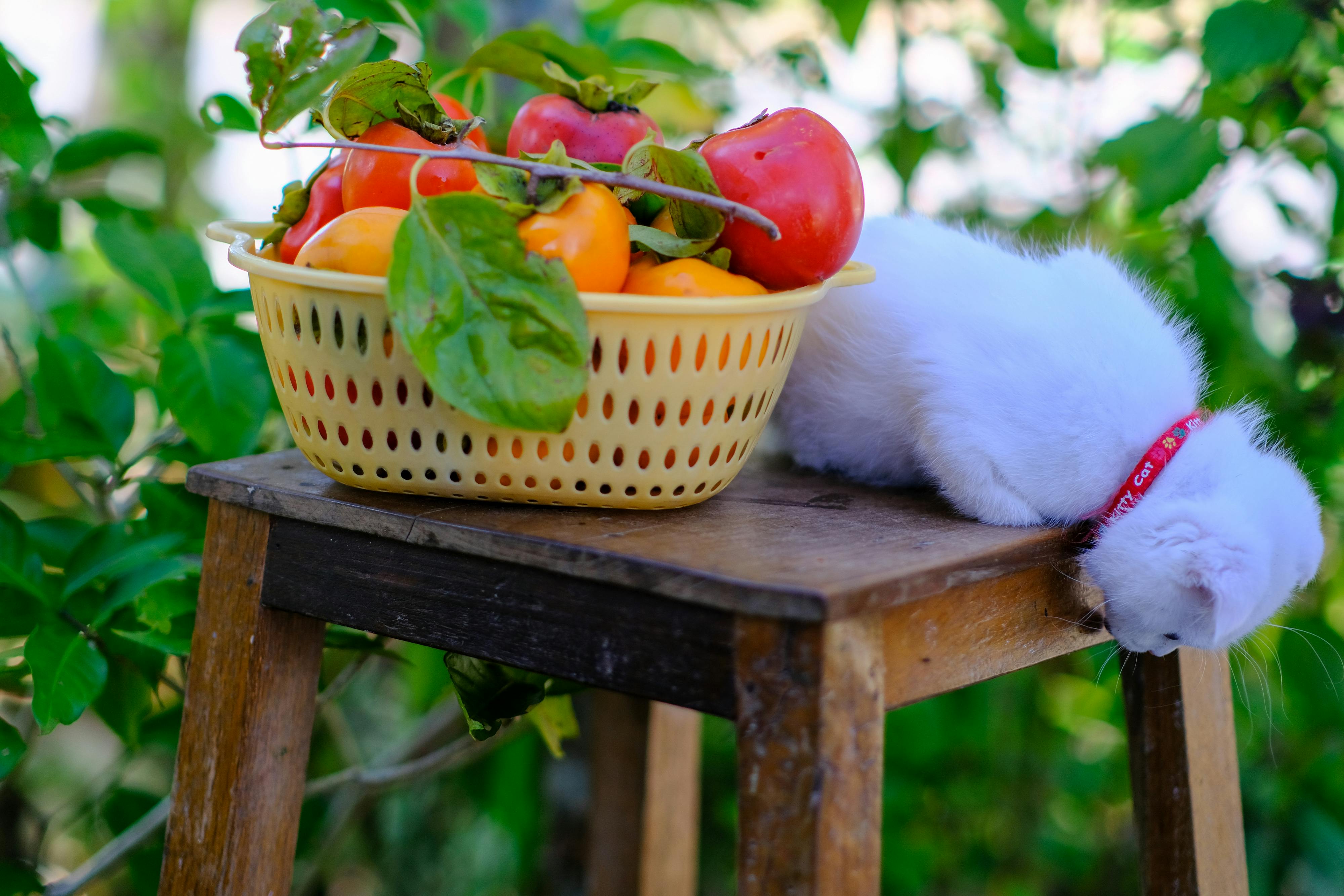 Trung tâm nghiên cứu văn học, phát triển nhà văn Việt Nam