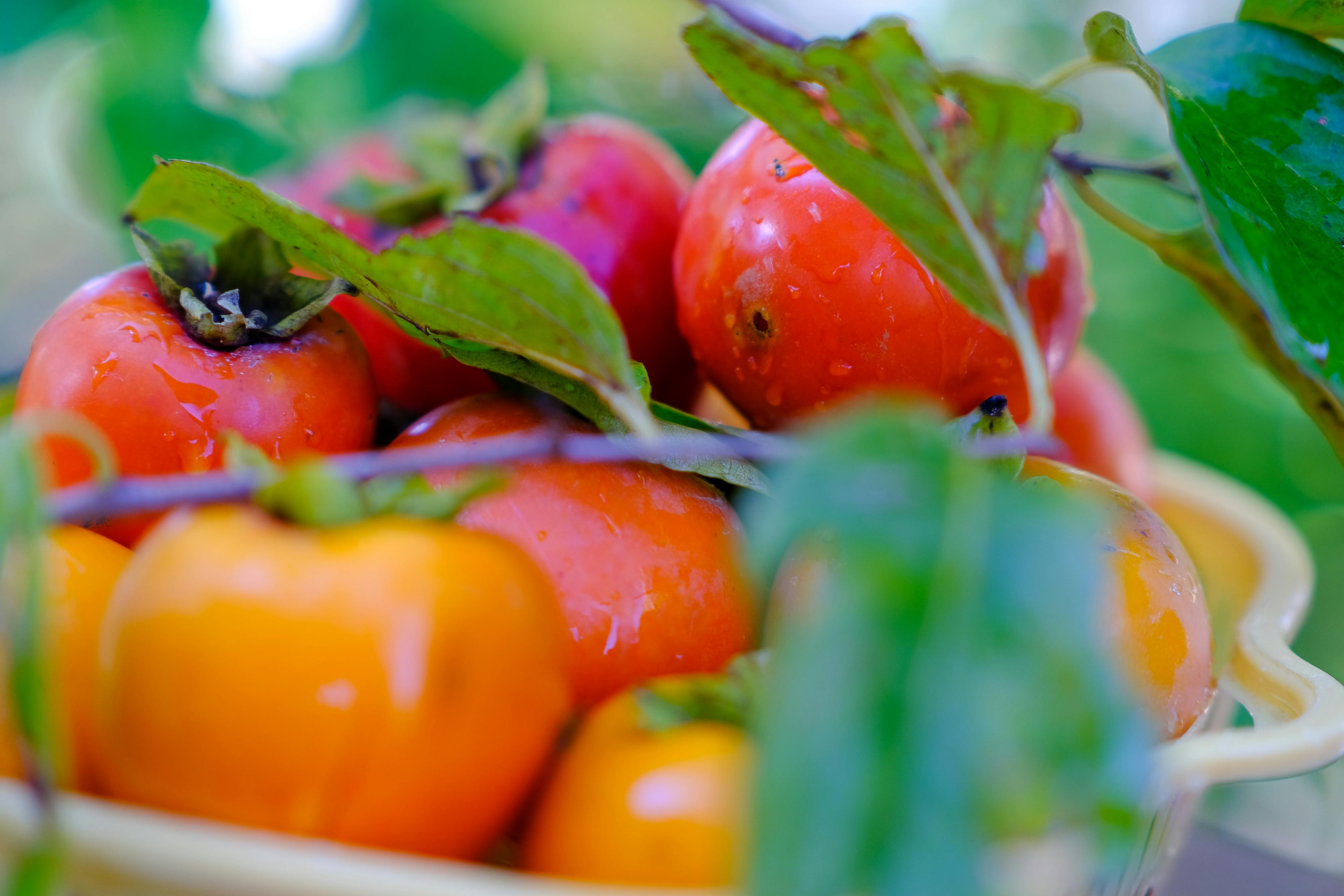 Trung tâm nghiên cứu văn học, phát triển nhà văn Việt Nam