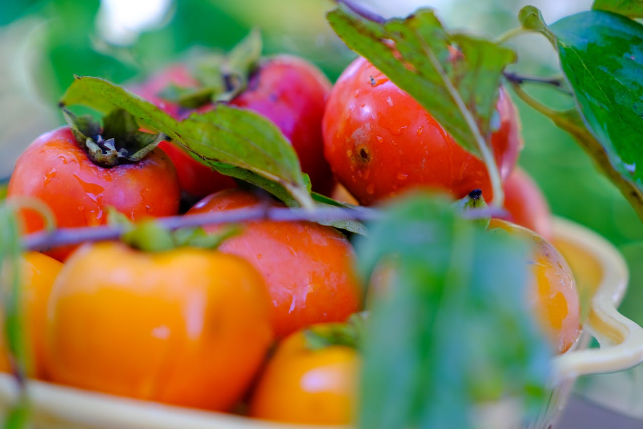 Đường xưa mây trắng | Chương 07