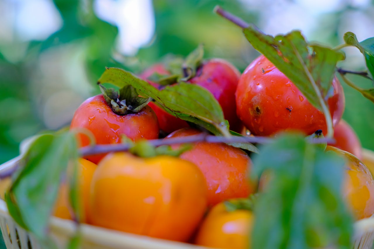 Thám tử lừng danh Conan | Chương 0579