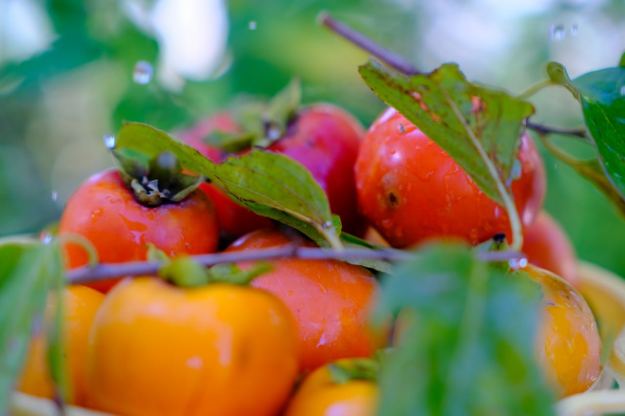 Đạo phật ngày nay | Chương 07