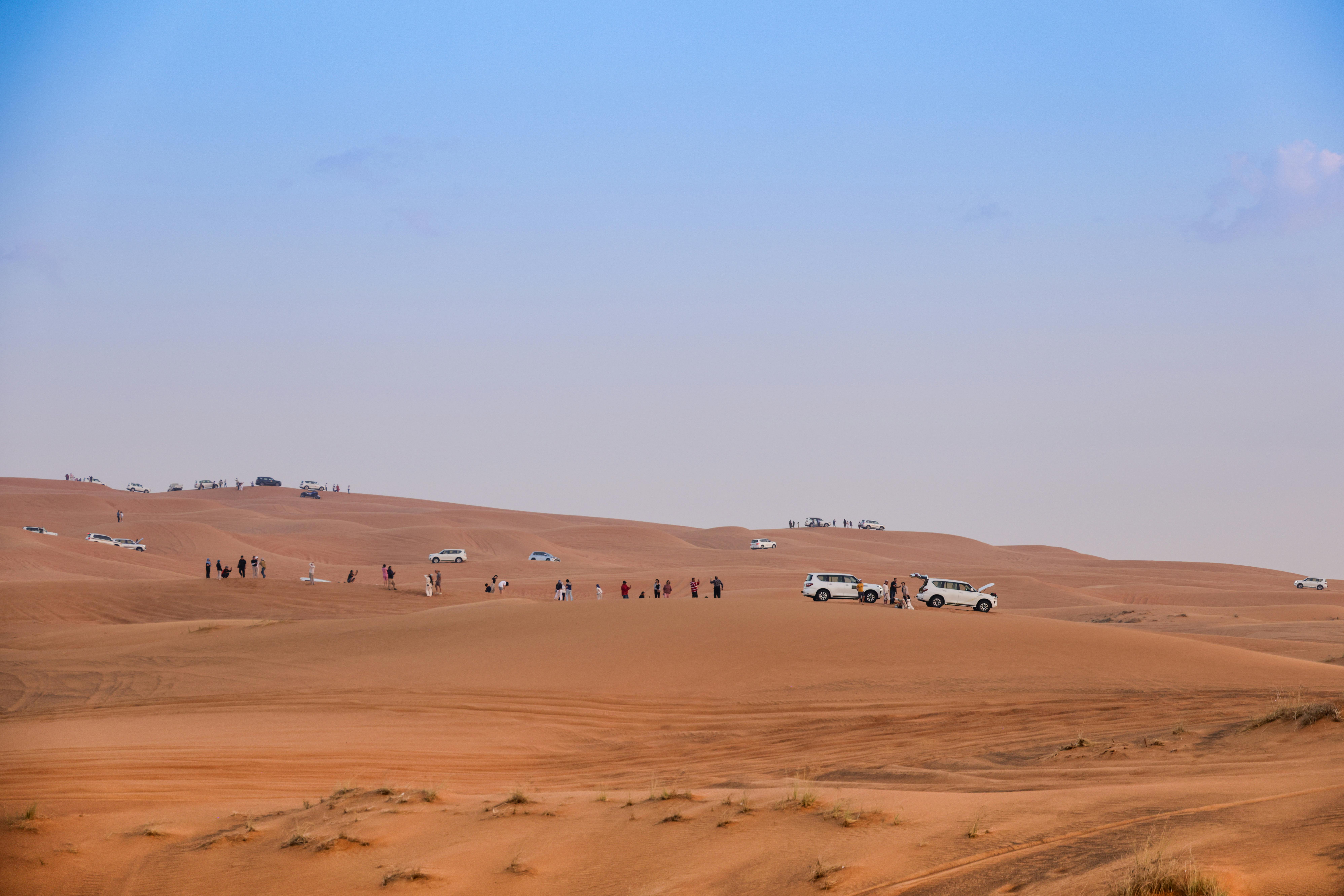 利統全力支持擊劍新秀 助力台灣選手邁向國際舞台