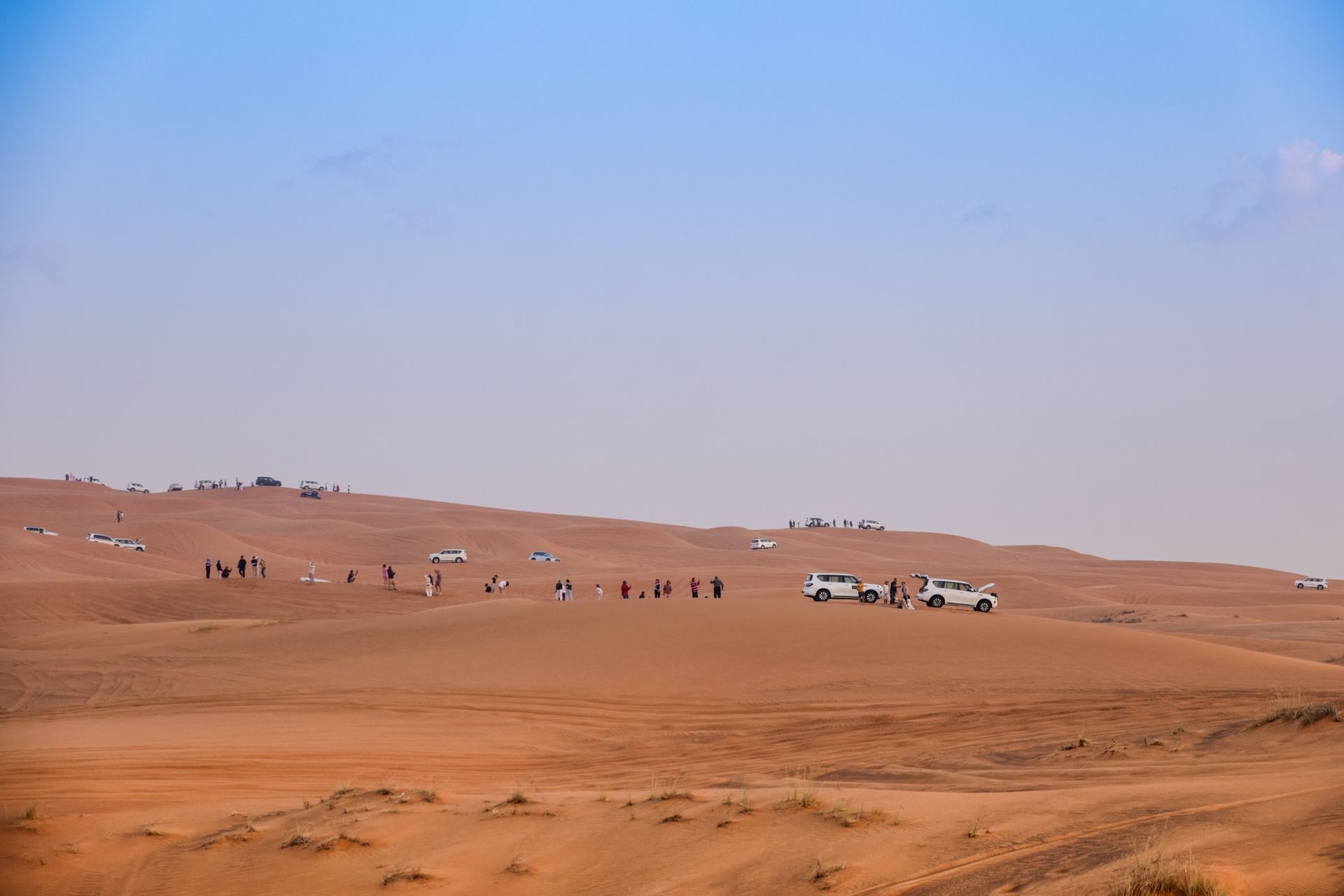 Experience thrilling 4x4 rides across stunning desert landscapes with adventurous safaris.