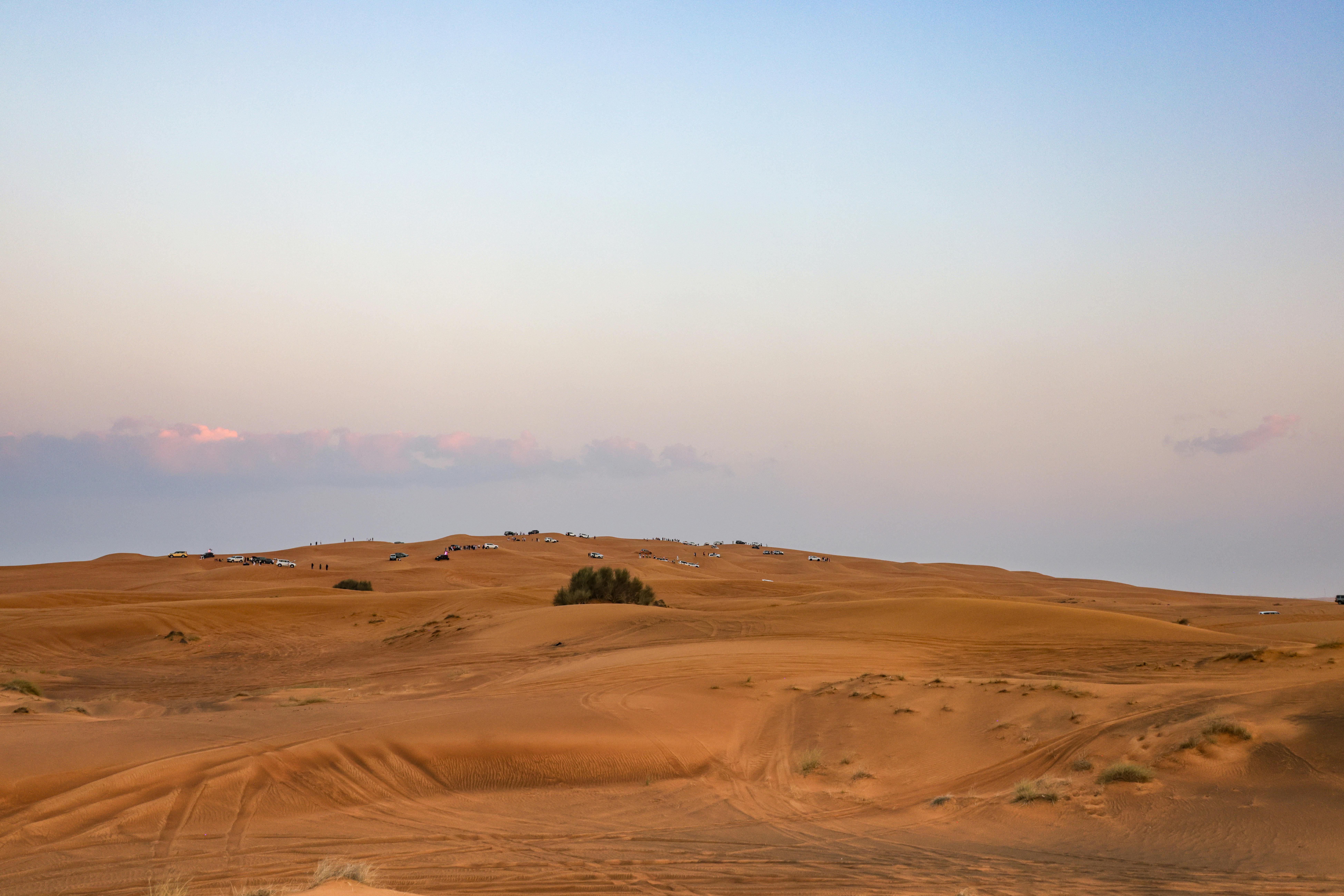 Image : Kenya's Wild Heartbeat: Your First-Timer's Journey into Authentic Safari Magic