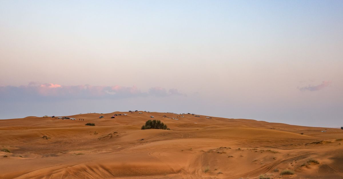 A scenic view of a desert landscape at sunset with 4x4 vehicles and sand dunes.