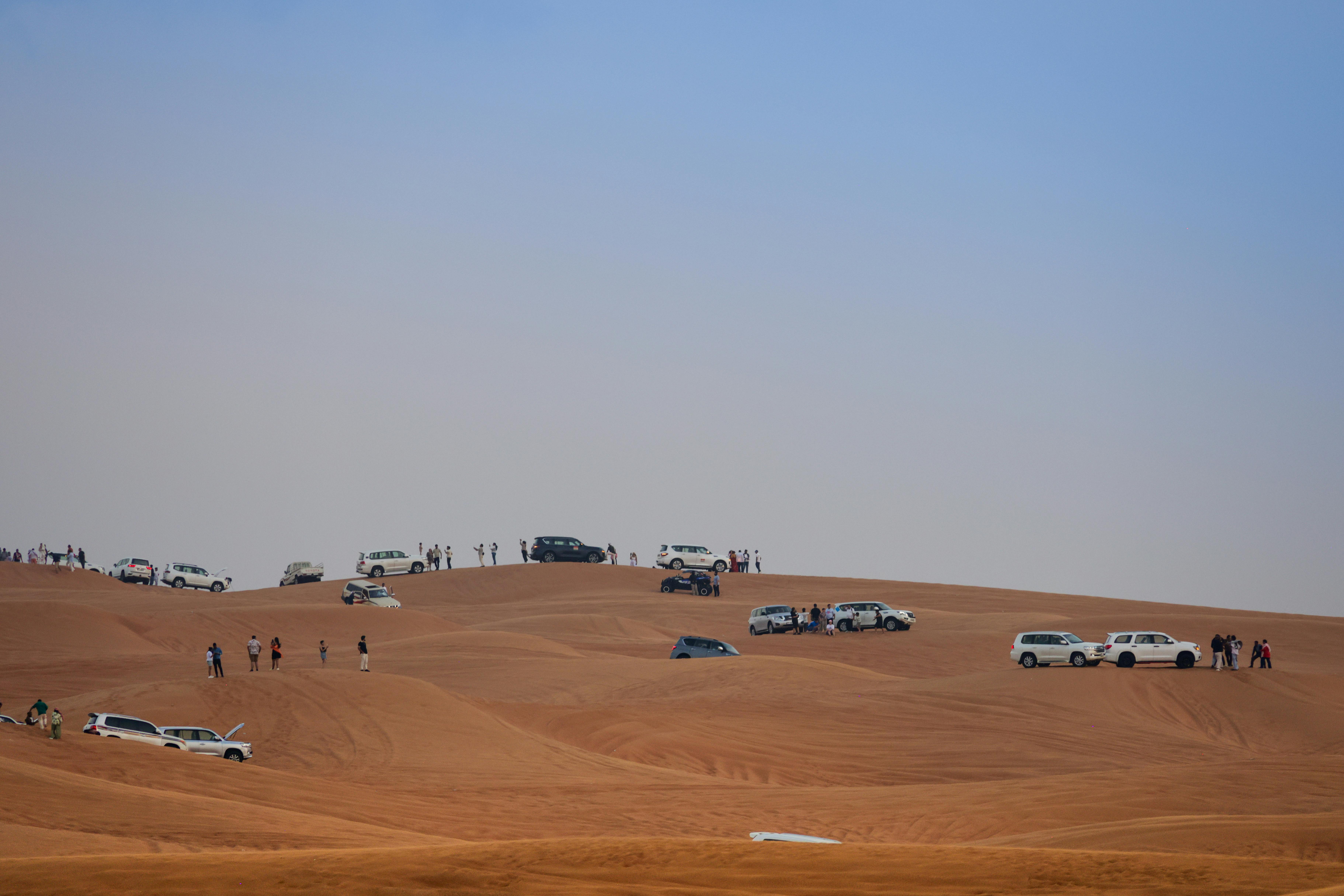 利統全力支持擊劍新秀 助力台灣選手邁向國際舞台