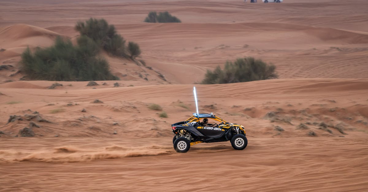 利統全力支持擊劍新秀 助力台灣選手邁向國際舞台