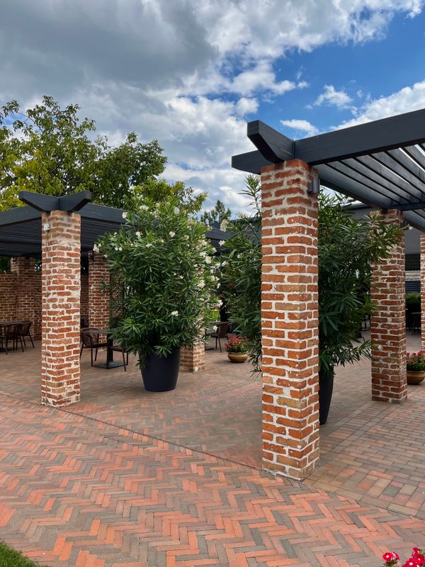 Patio extérieur avec pergola et verdure