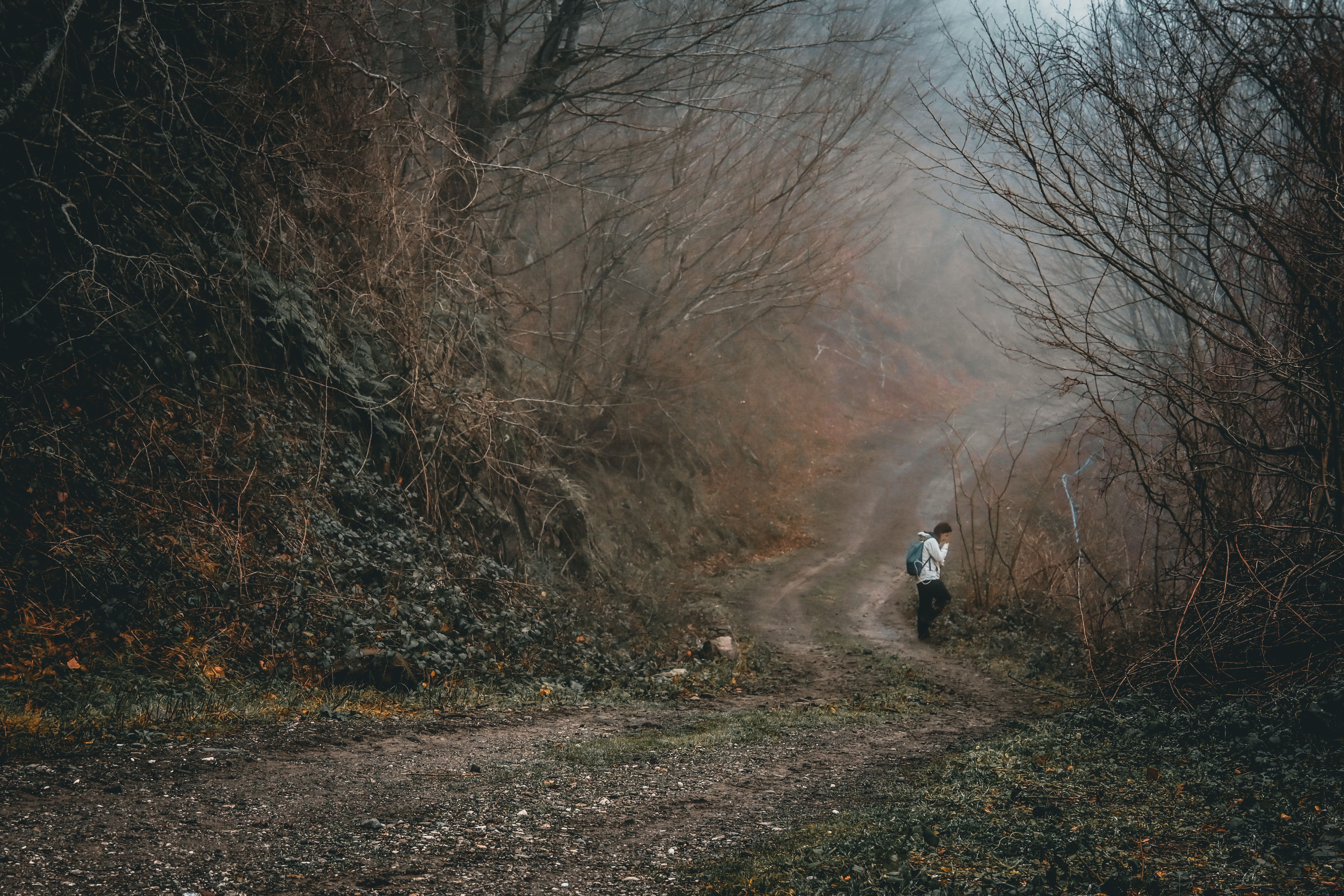 A lone hiker walks through a misty forest path