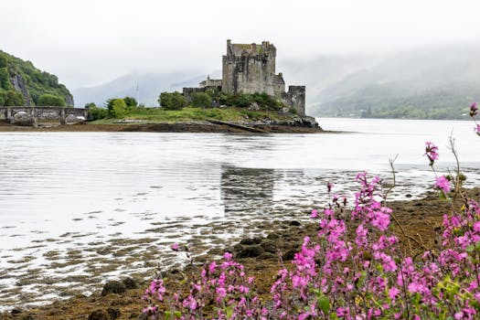 Beautiful view of Eilean Donan Castle with flowers in the foreground and misty hills in the background.