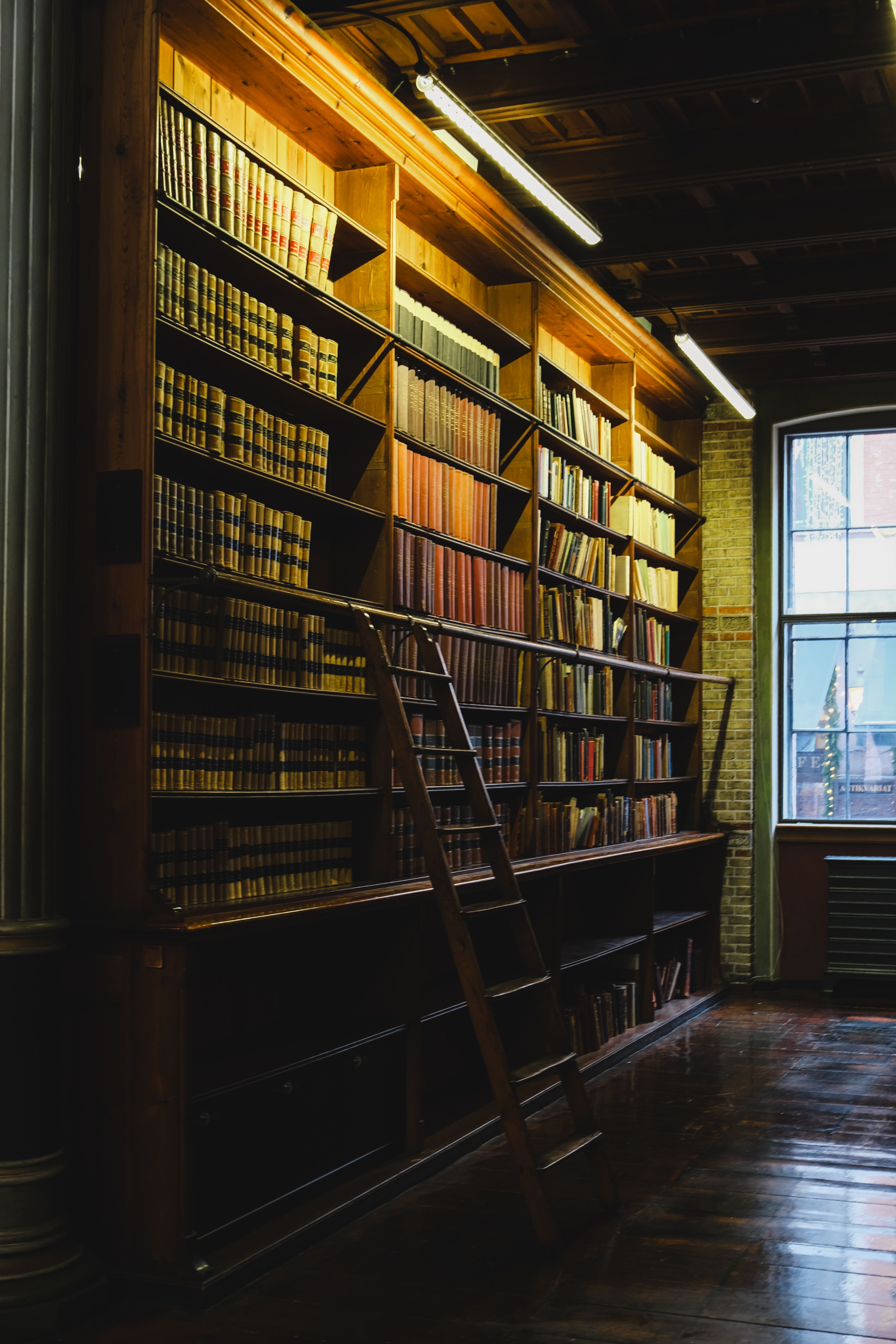 Classic library with tall wooden bookshelves and a vintage ladder