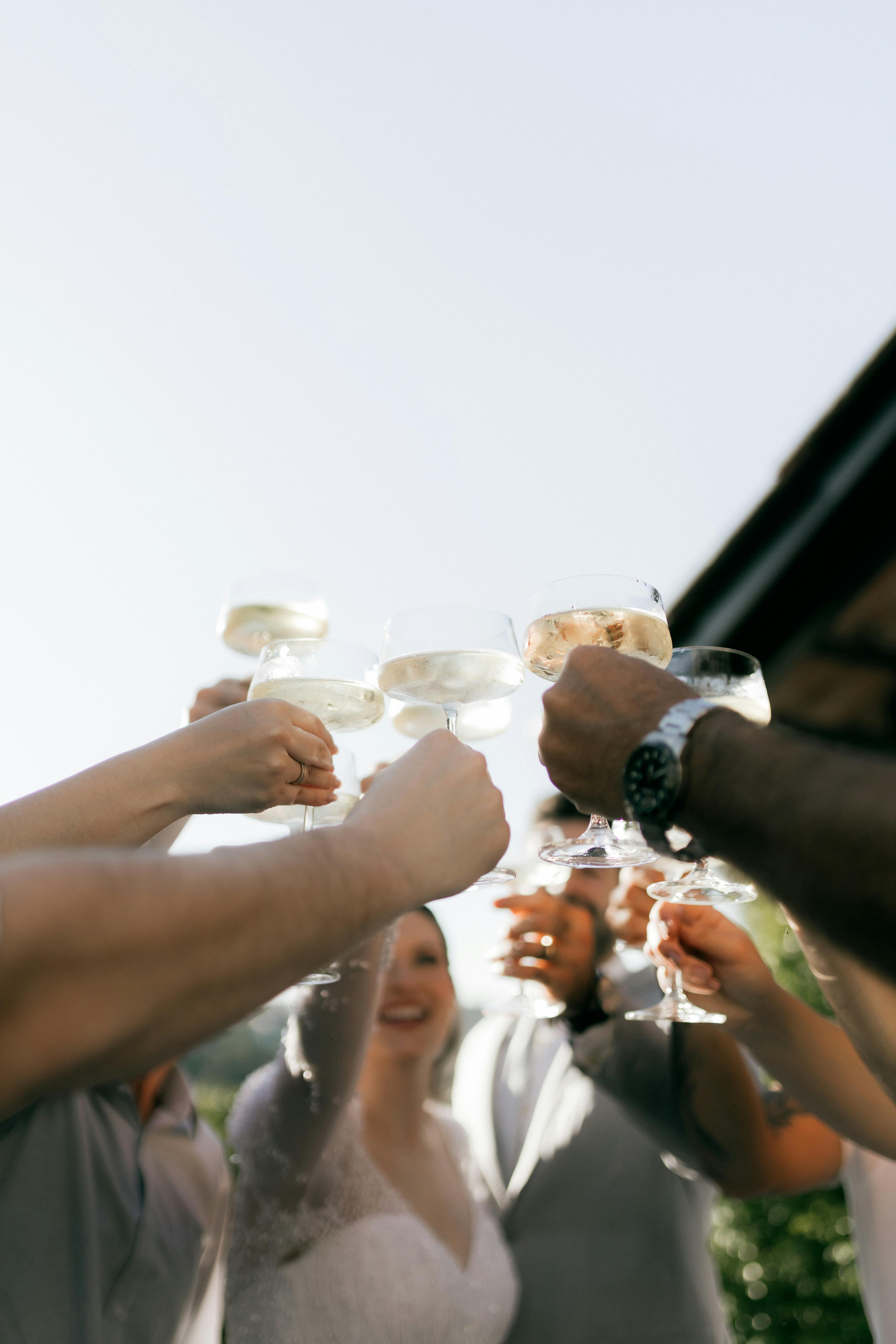 Group of adults toasting at an outdoor wedding with champagne glasses.