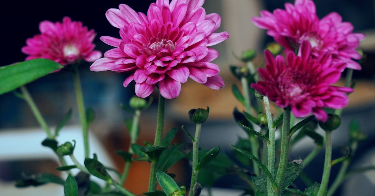 靜宜大學攜手澄逸香氛學院 推出國際調香師培訓課程