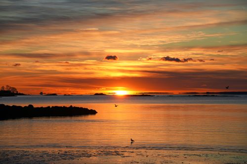Free Captivating sunset over calm ocean waters with glowing orange skies and distant birds. Stock Photo