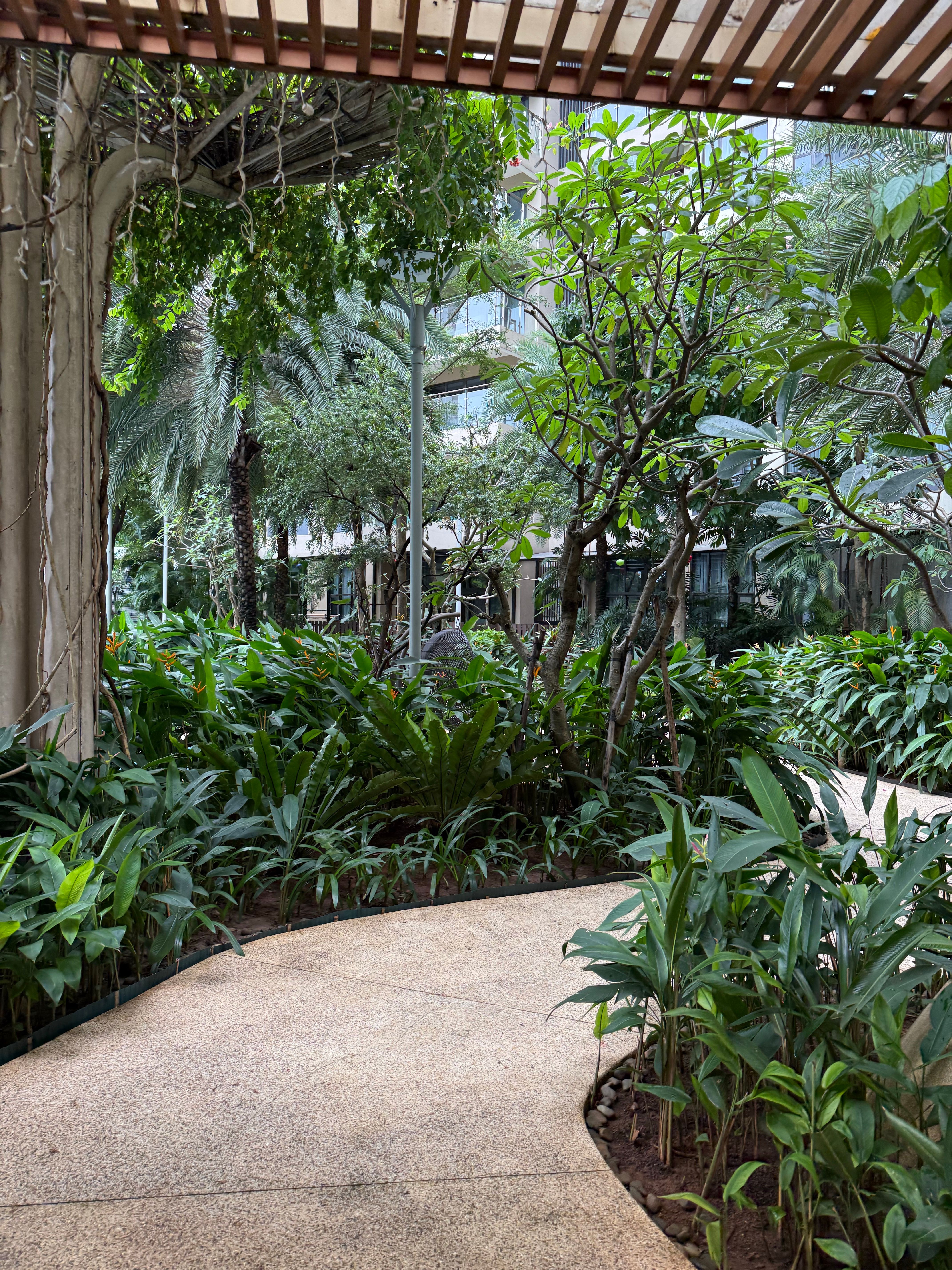 Curved pathway through lush tropical plants in a modern urban garden.
