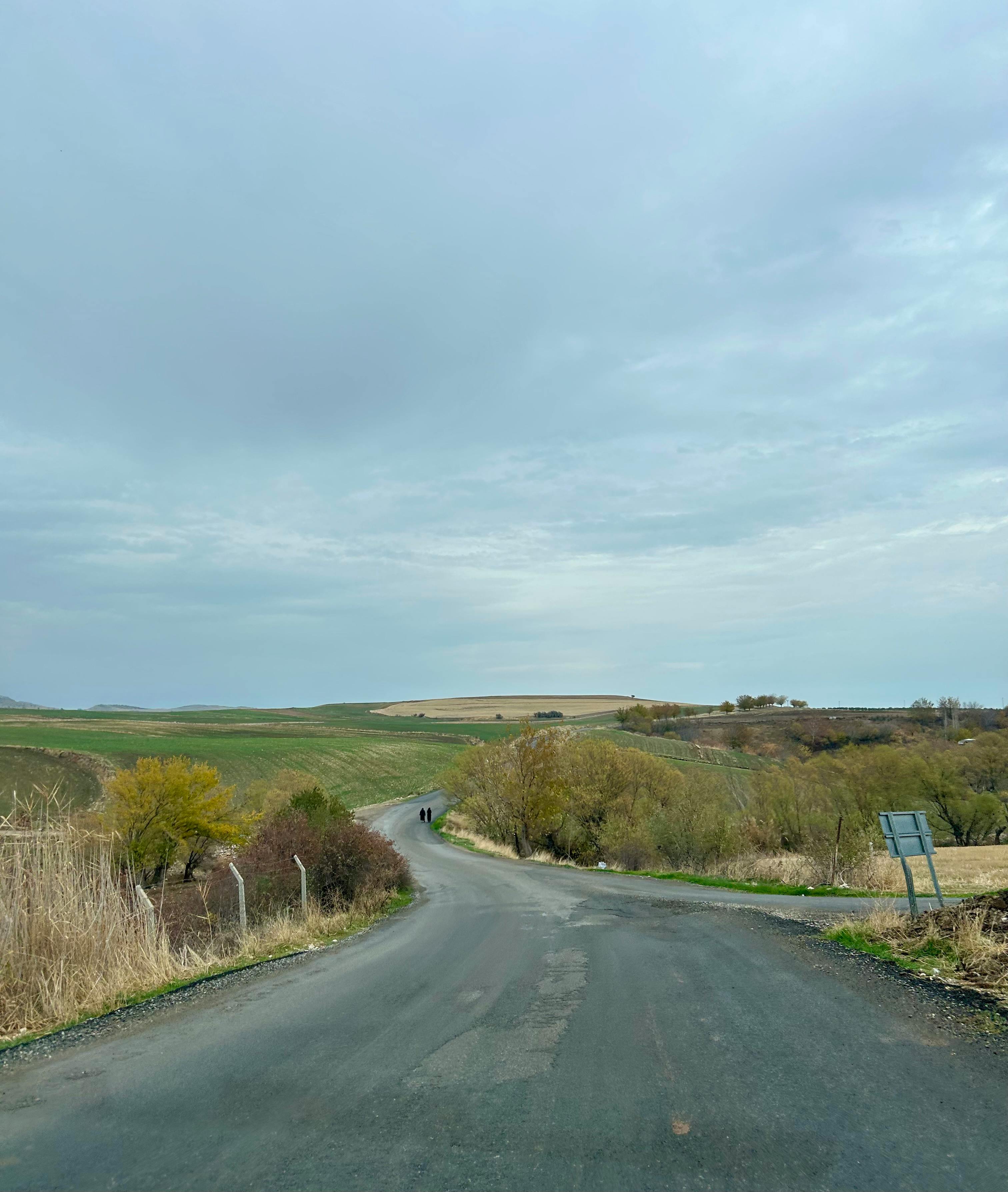 Empty country road with fields and cloudy sky in view, ideal for travel themes.