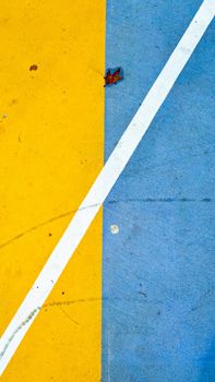 Diagonal white line dividing vibrant blue and yellow pavement with fallen leaf.