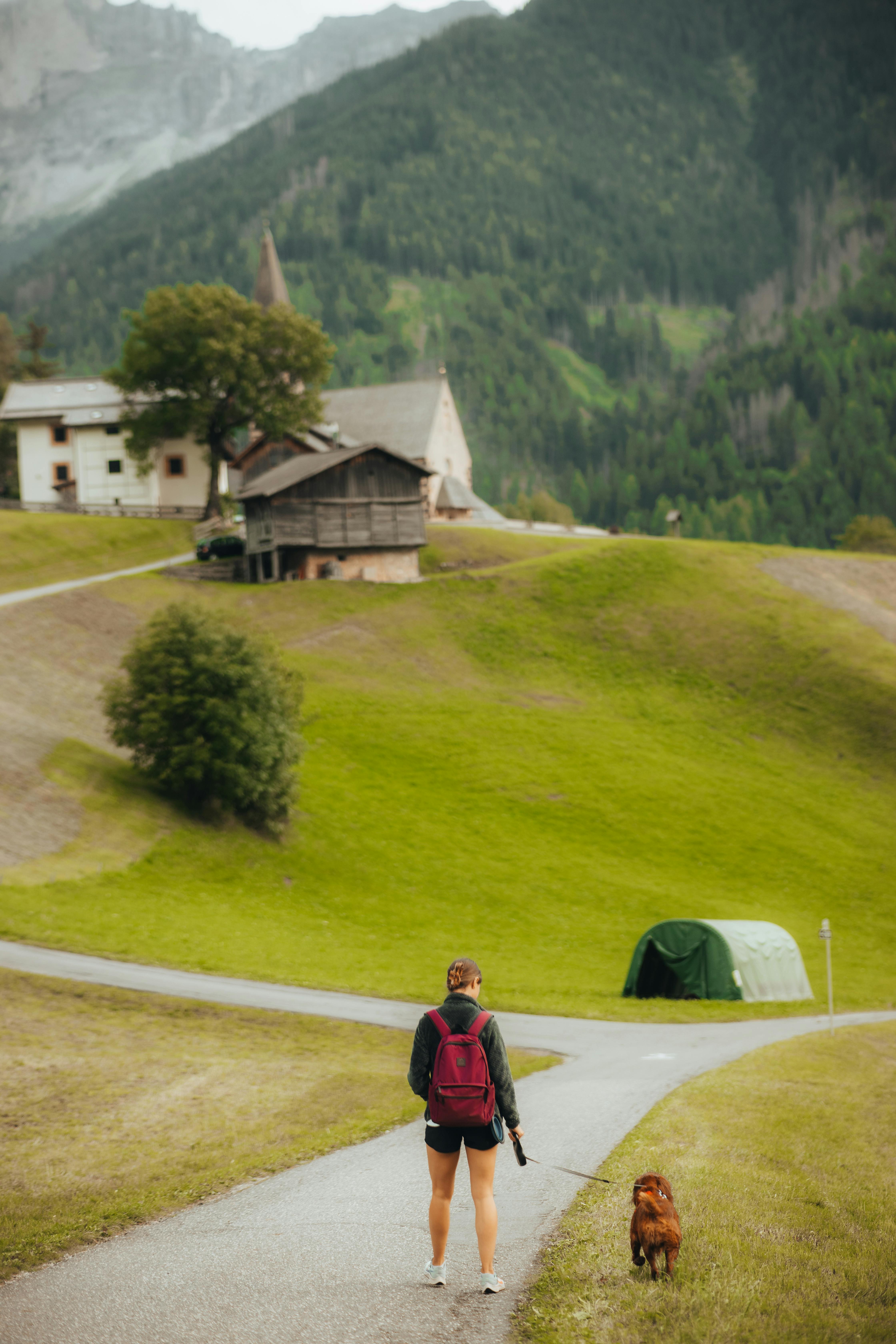 Buddha's Constant Companion Venerable Ananda