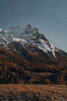Breathtaking view of snow-capped mountain peaks surrounded by colorful autumn trees.