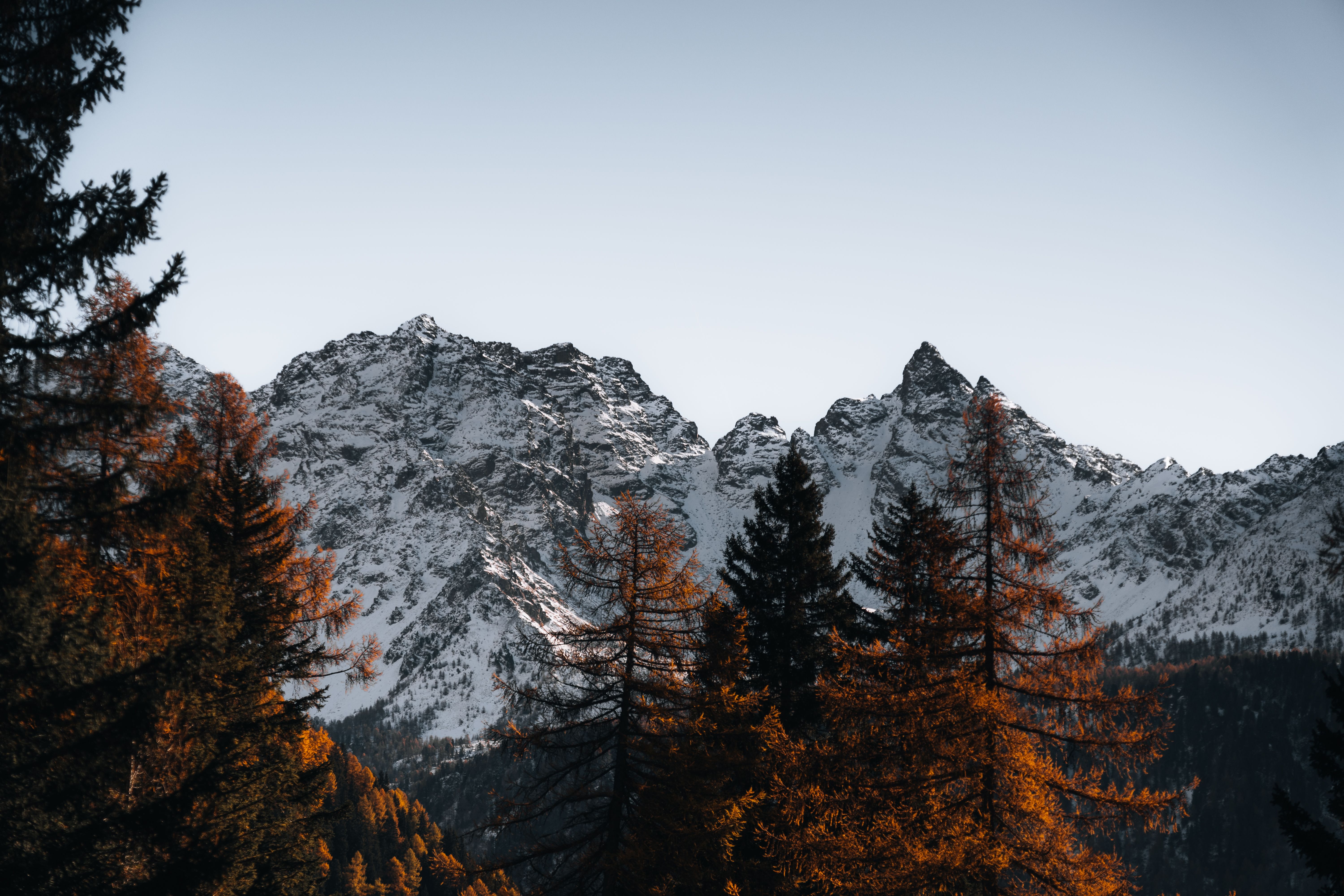 Majestic Snowy Mountains with Autumn Trees · Free Stock Photo