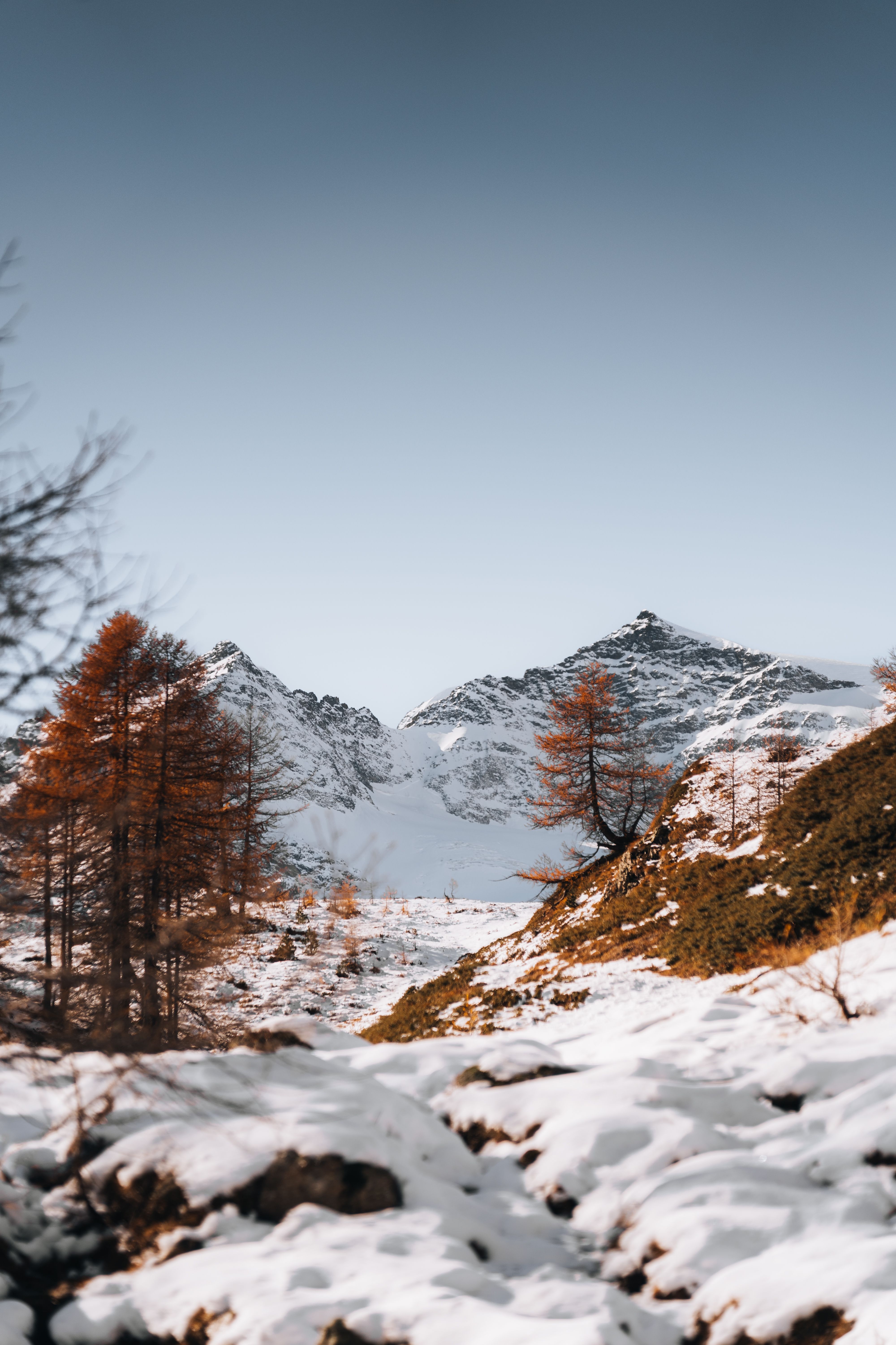 Snowy Mountain Landscape with Trees · Free Stock Photo