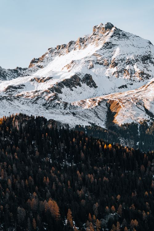 Free Majestic snow-covered mountain peak overlooking a dense forest during winter. Stock Photo