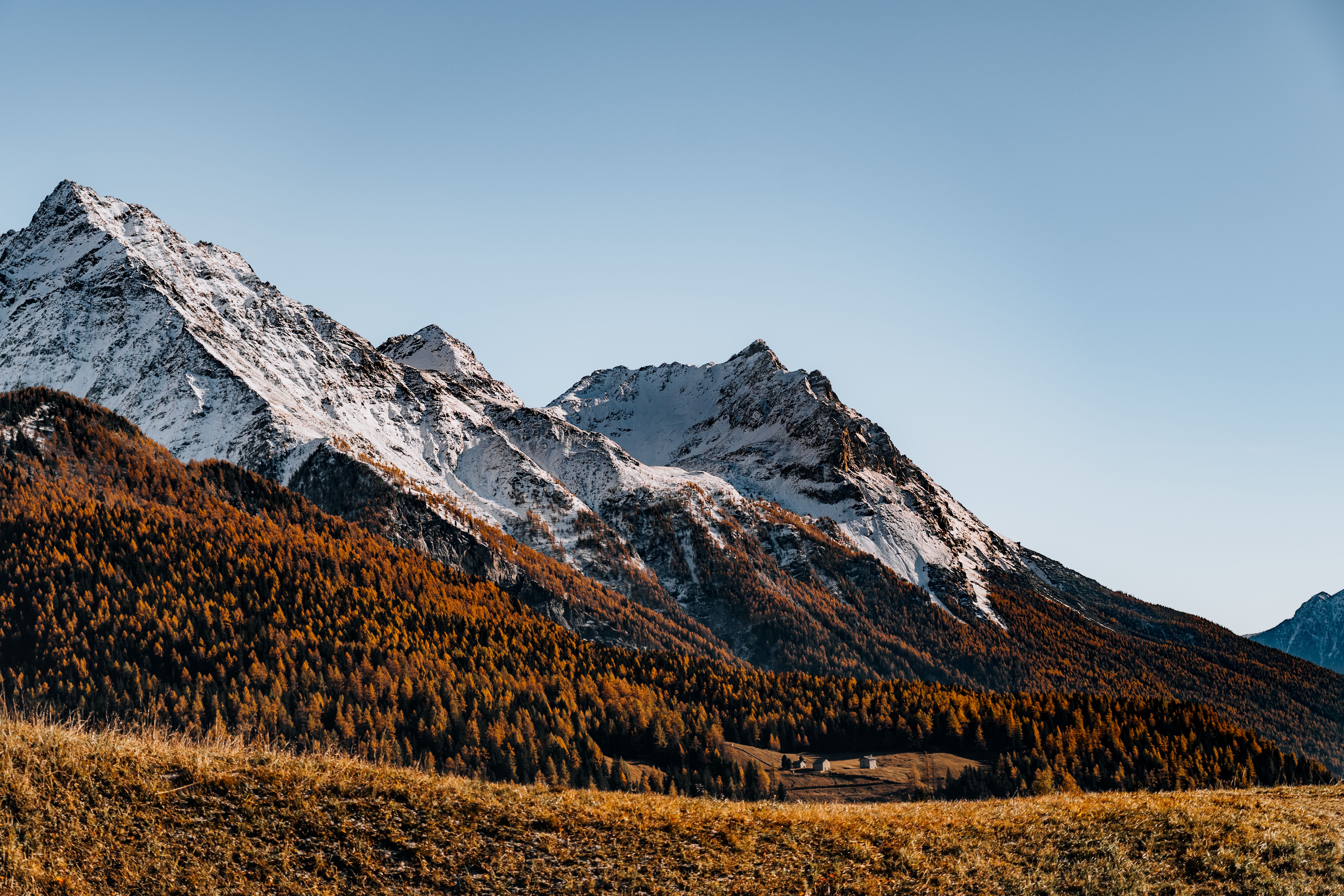 Snowy Mountain Range with Autumn Forest · Free Stock Photo