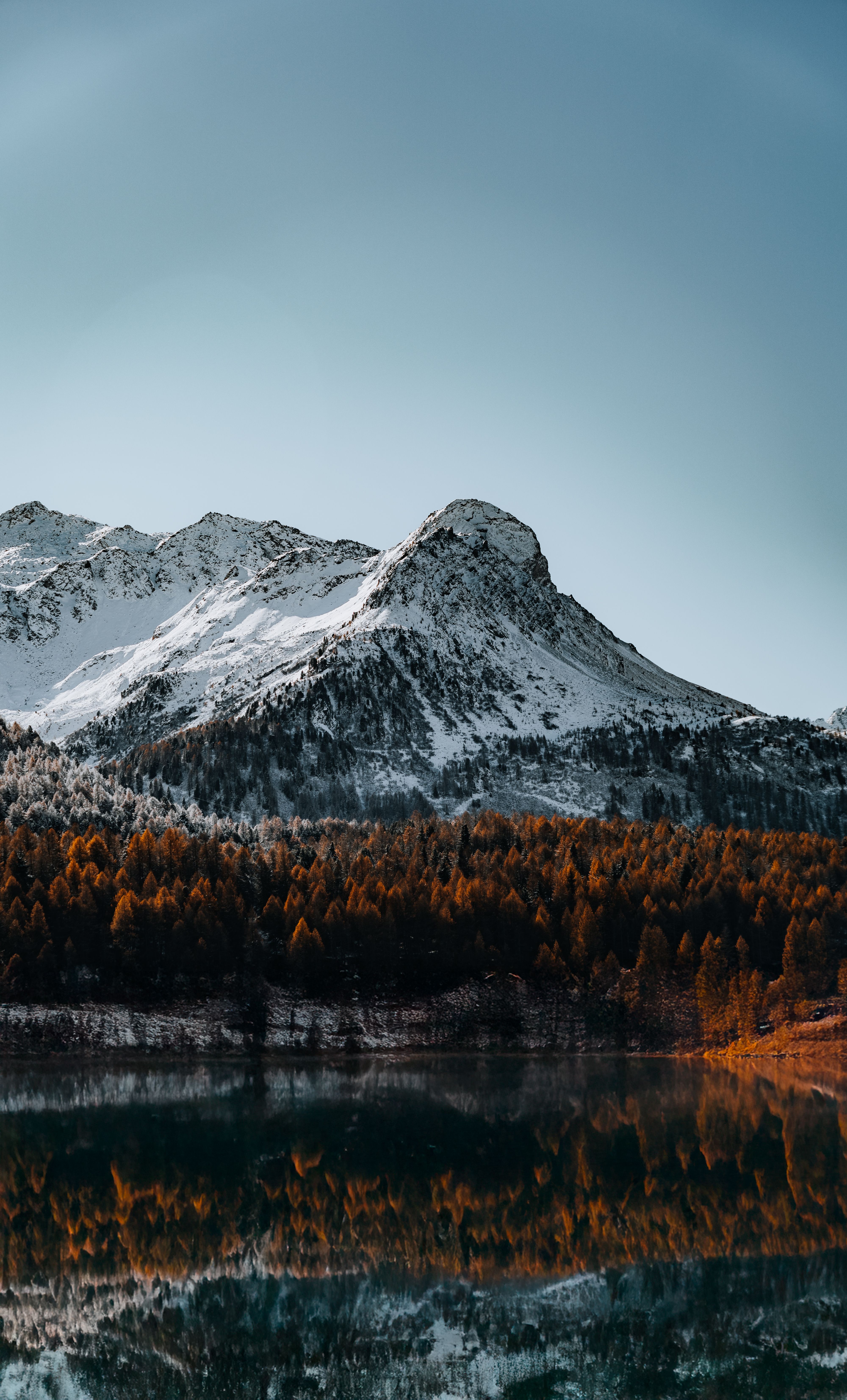 Snowy Mountain and Forest Reflection in Lake · Free Stock Photo