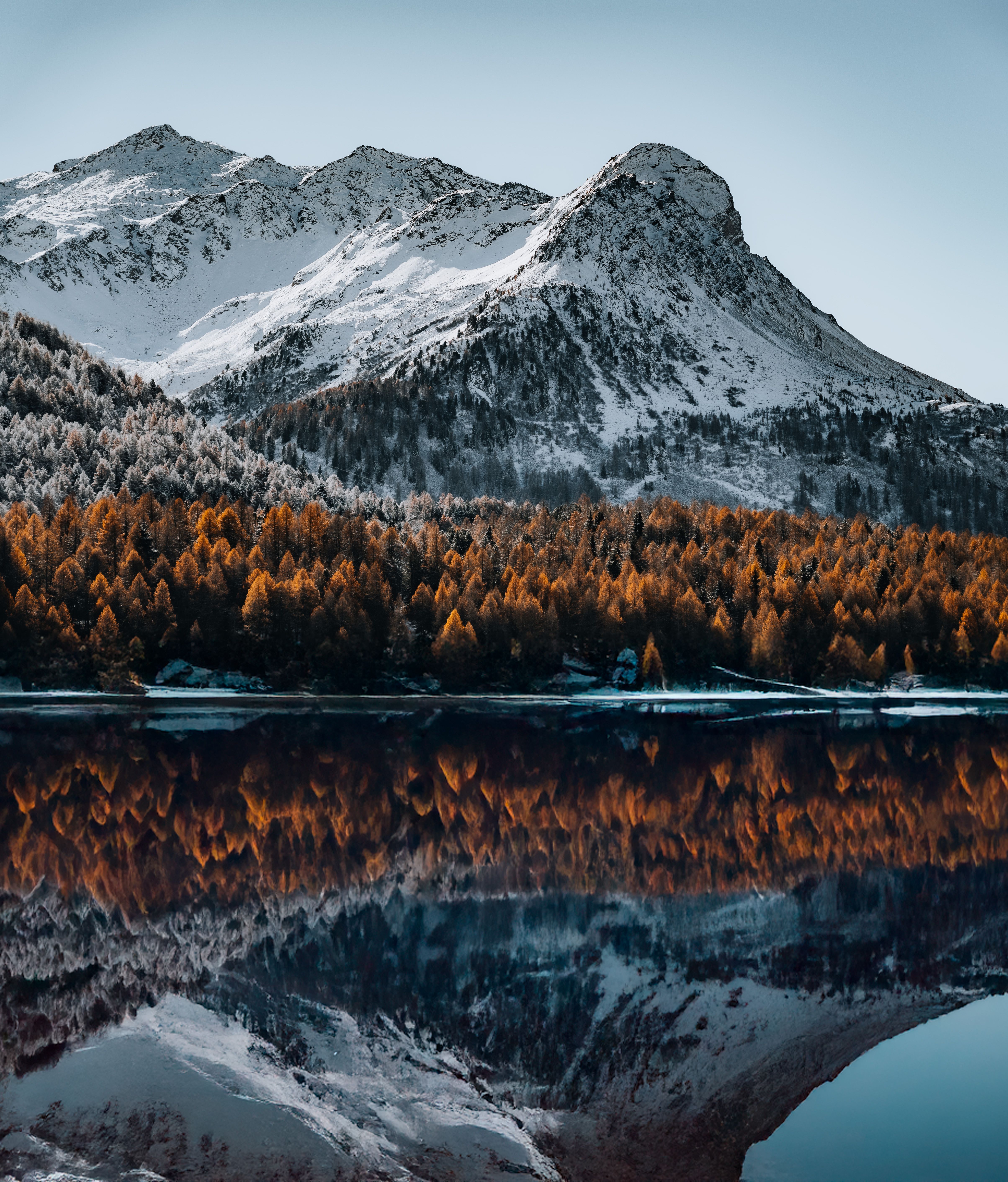 Serene snow-capped mountains and pine forest reflected in a calm lake.