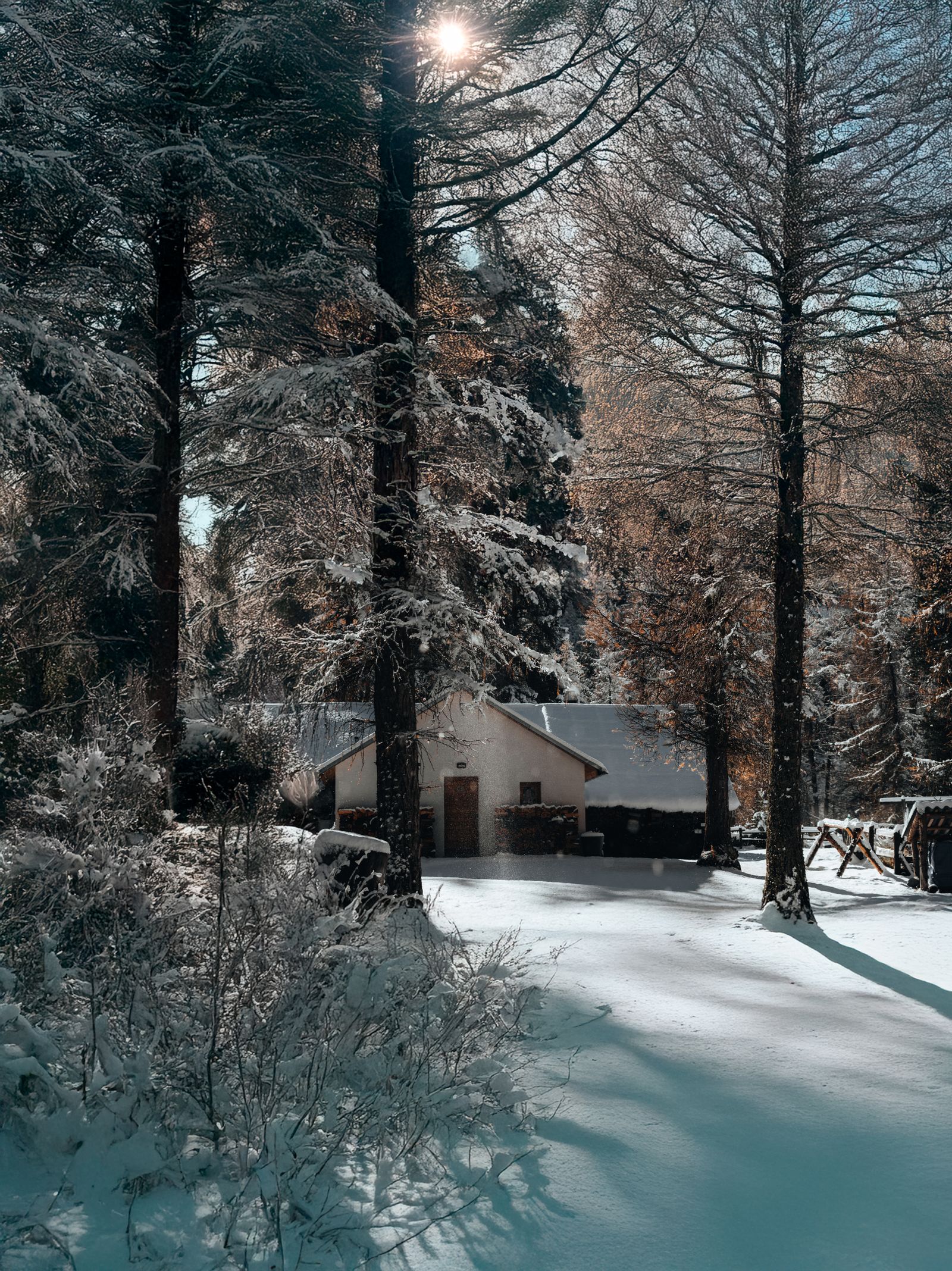 Zimní horská chata jako inspirace svíčky Cozy Cabin