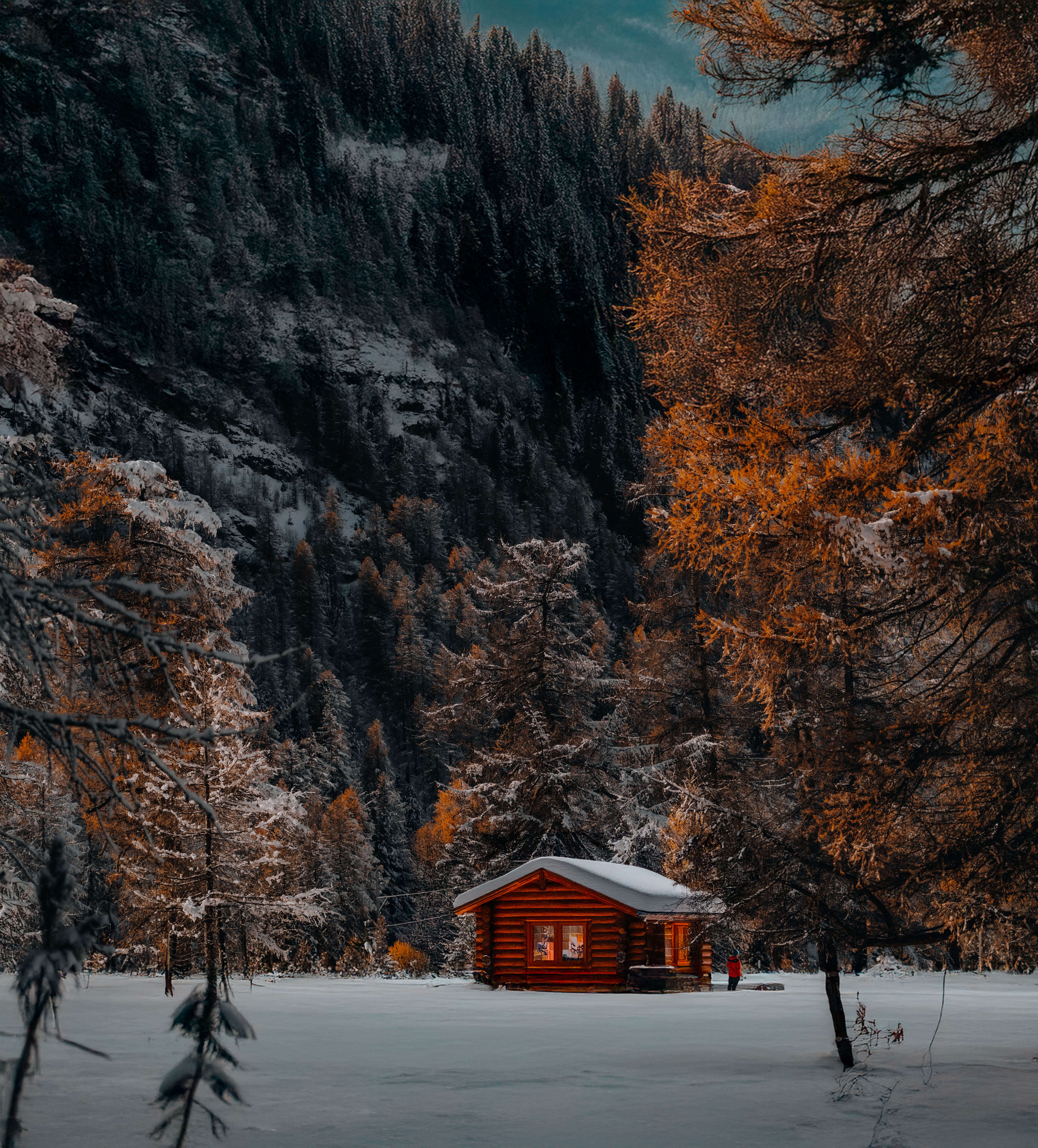 Cozy Cabin in a Snowy Forest Landscape · Free Stock Photo